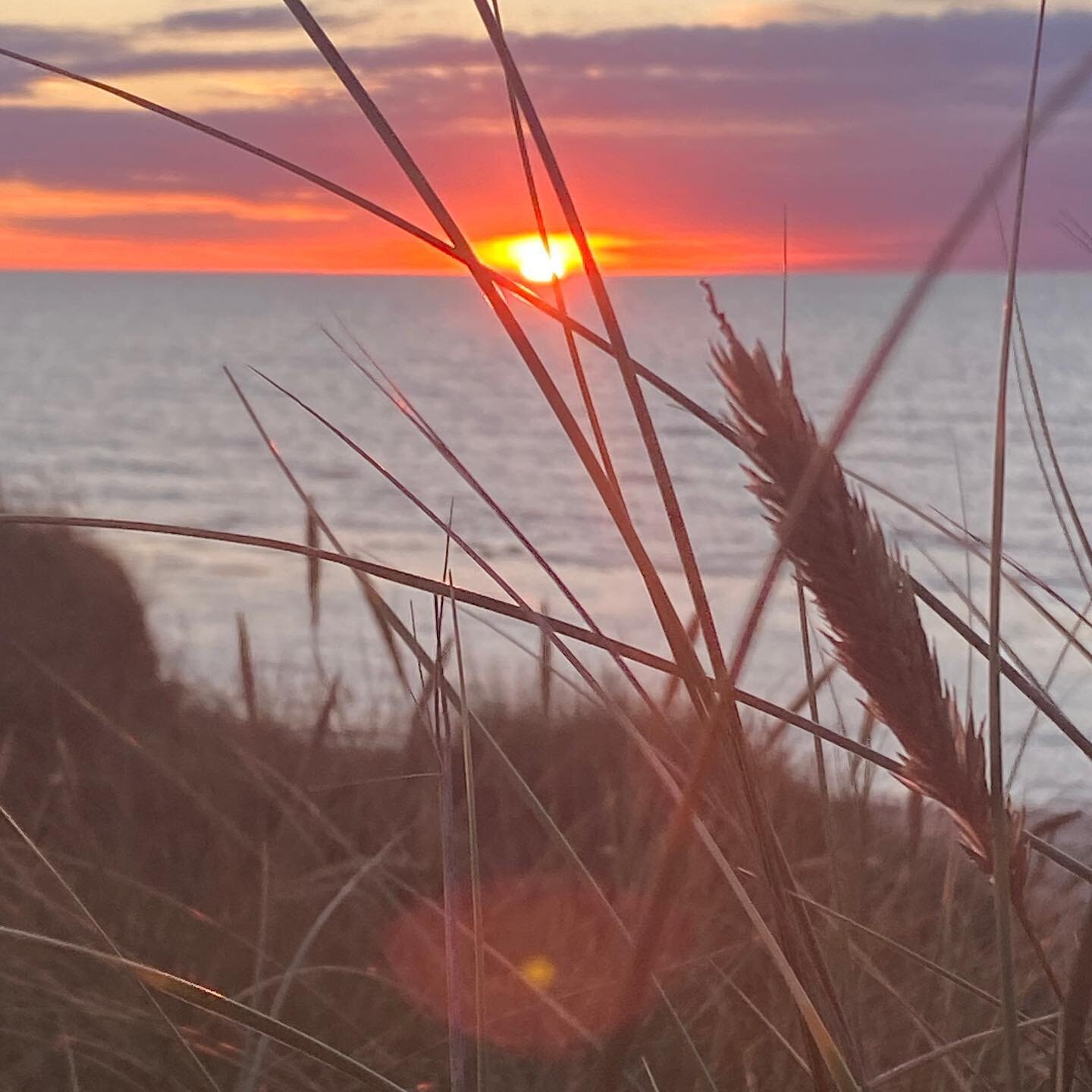 September. Efter&aring;rets f&oslash;rste m&aring;ned 🍂 

M&aring;ske bem&aelig;rker du at lyset langsomt er begyndt at &aelig;ndre sig... m&aring;ske m&aelig;rker du en snigende lyst til at l&aelig;ne dig lidt l&aelig;ngere tilbage. S&aelig;nke tem