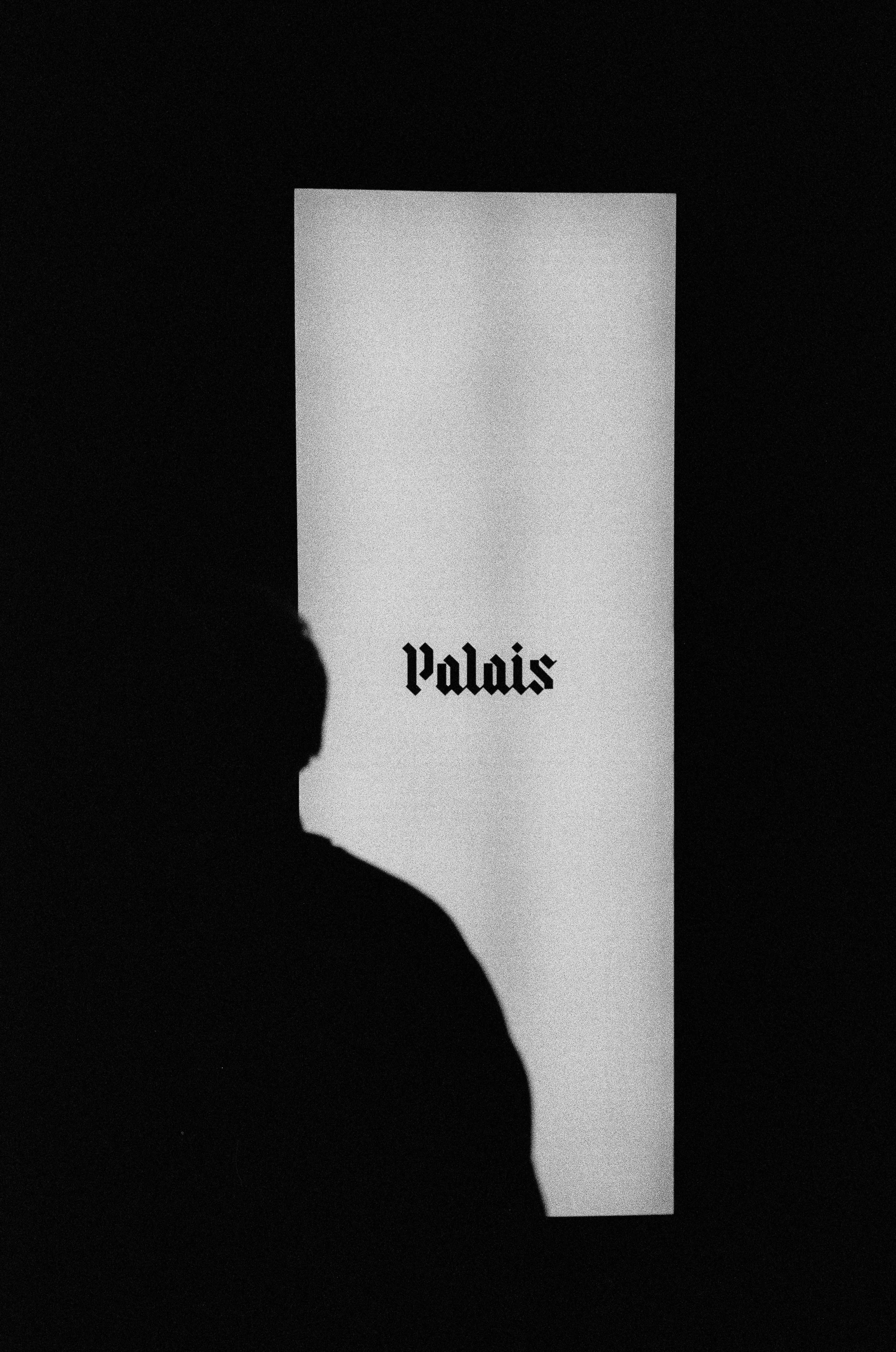palais lowres-27.jpg
