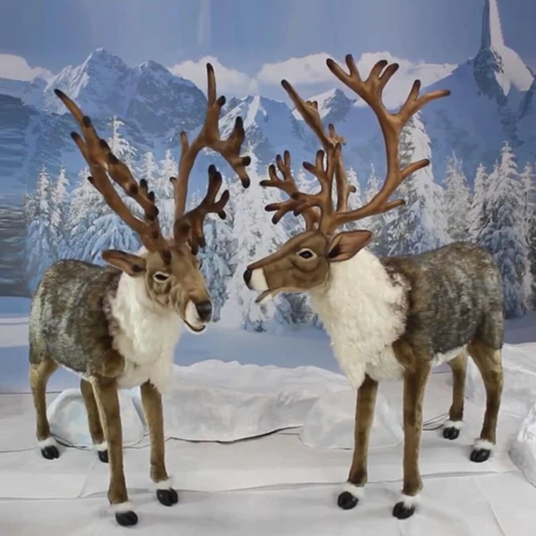 These reindeer still need a loving home 😍Not only can these reindeer sing, they can be personalised to have conversations, tell jokes, stories or make announcements and are a great addition to any family! Shop using link in bio 👆
.
.
.
#ukchristmas