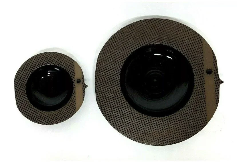 Fish Plates, 1981  Wheel thrown earthenware