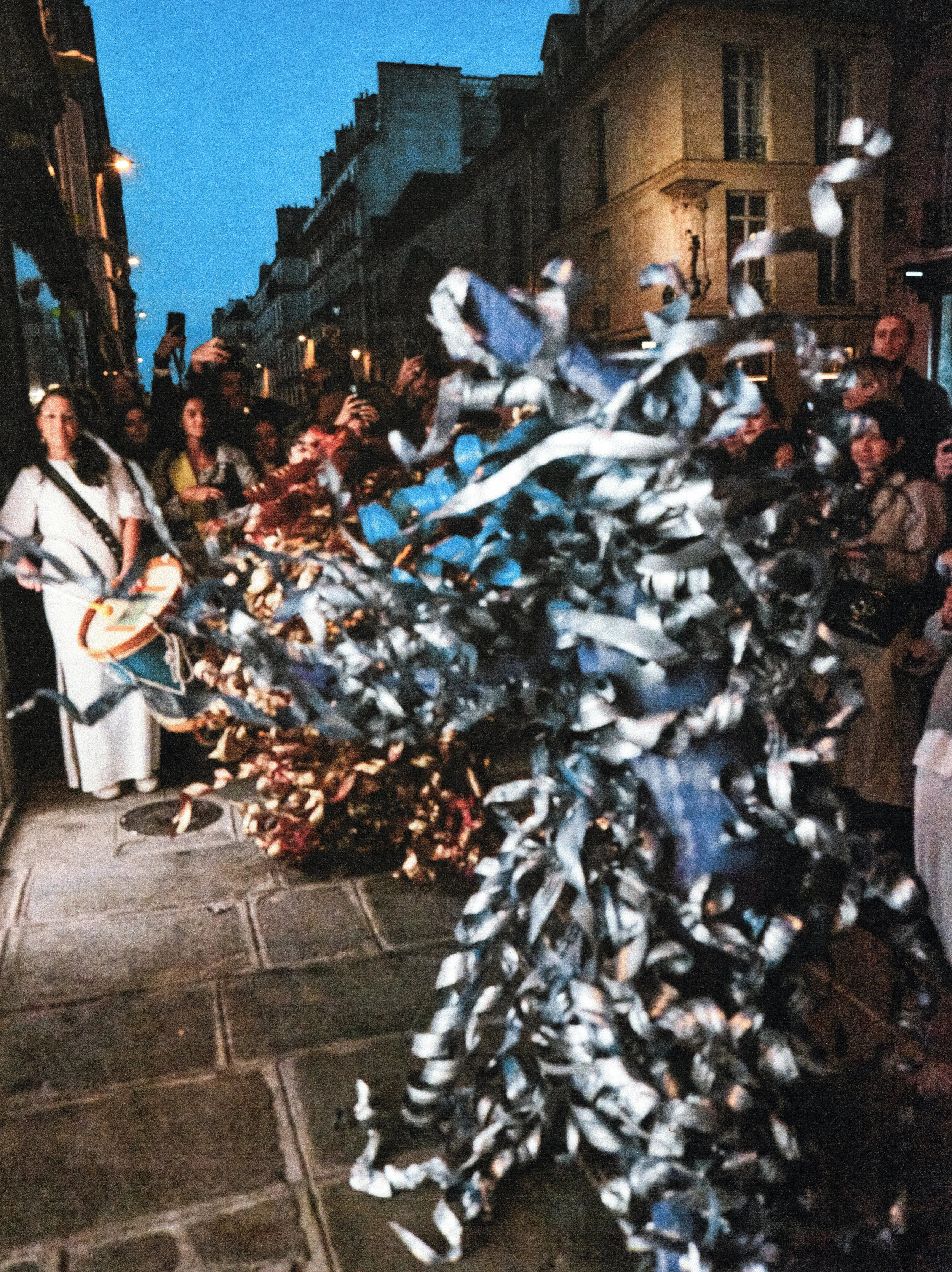 vichelena_0001 copiar.jpg