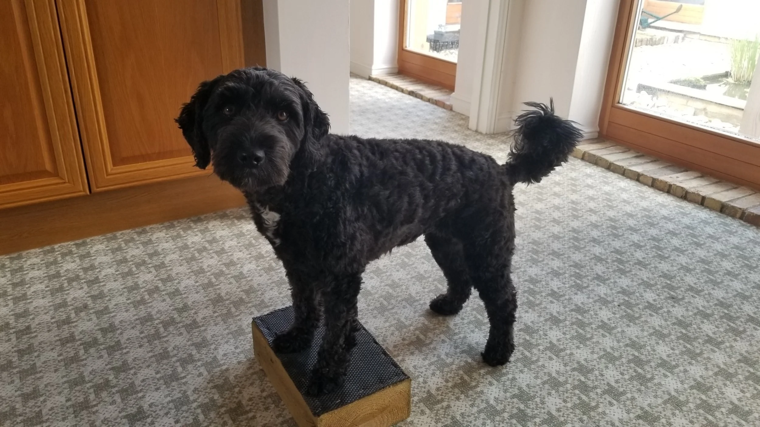 Ella Weight Shifting.jpg