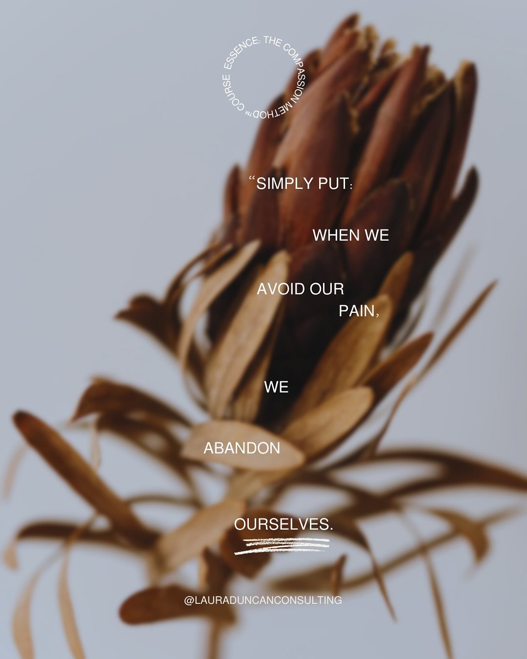 ⚡️ &ldquo;Simply put: when we avoid our pain, we abandon ourselves.&rdquo; - @lauraduncanconsulting  👋🏼 My name is Laura and I help lead people from their Triggers to their True Selves. I discovered The Compassion Method&trade; after the death of m