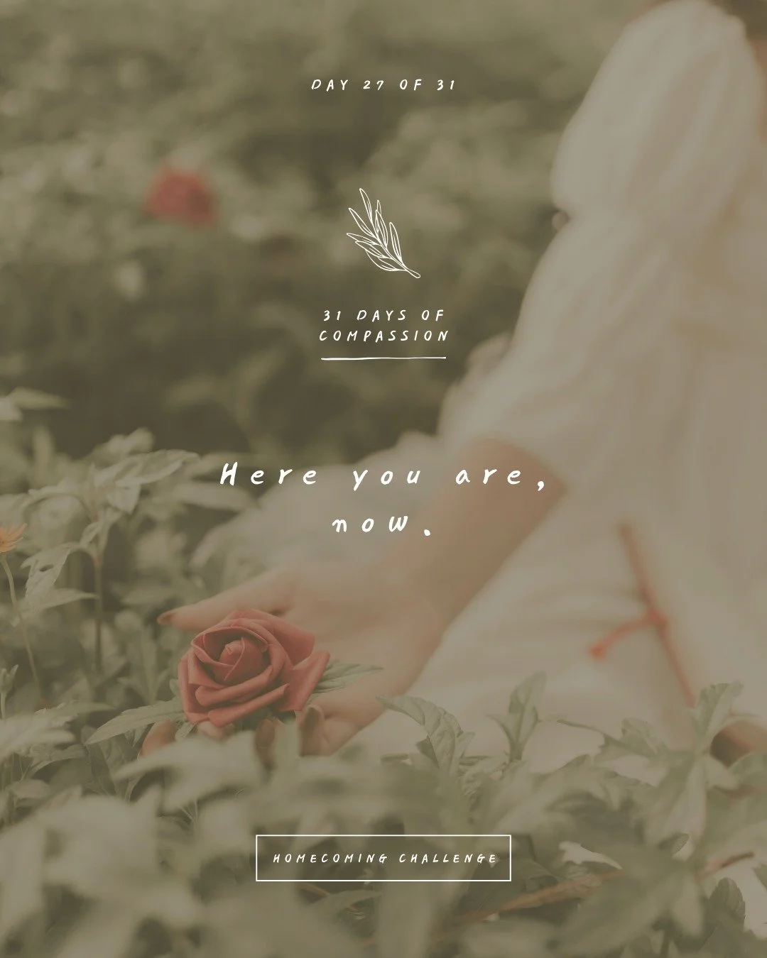 🏠 Day 27 of The Homecoming Challenge: &ldquo;Here you are, now.&rdquo;

You made it.

You're all here, no matter what yesterday brought.

I see you.

You're here now.

What would YOU like to do today?

✨ What&rsquo;s the Homecoming Challenge? This y