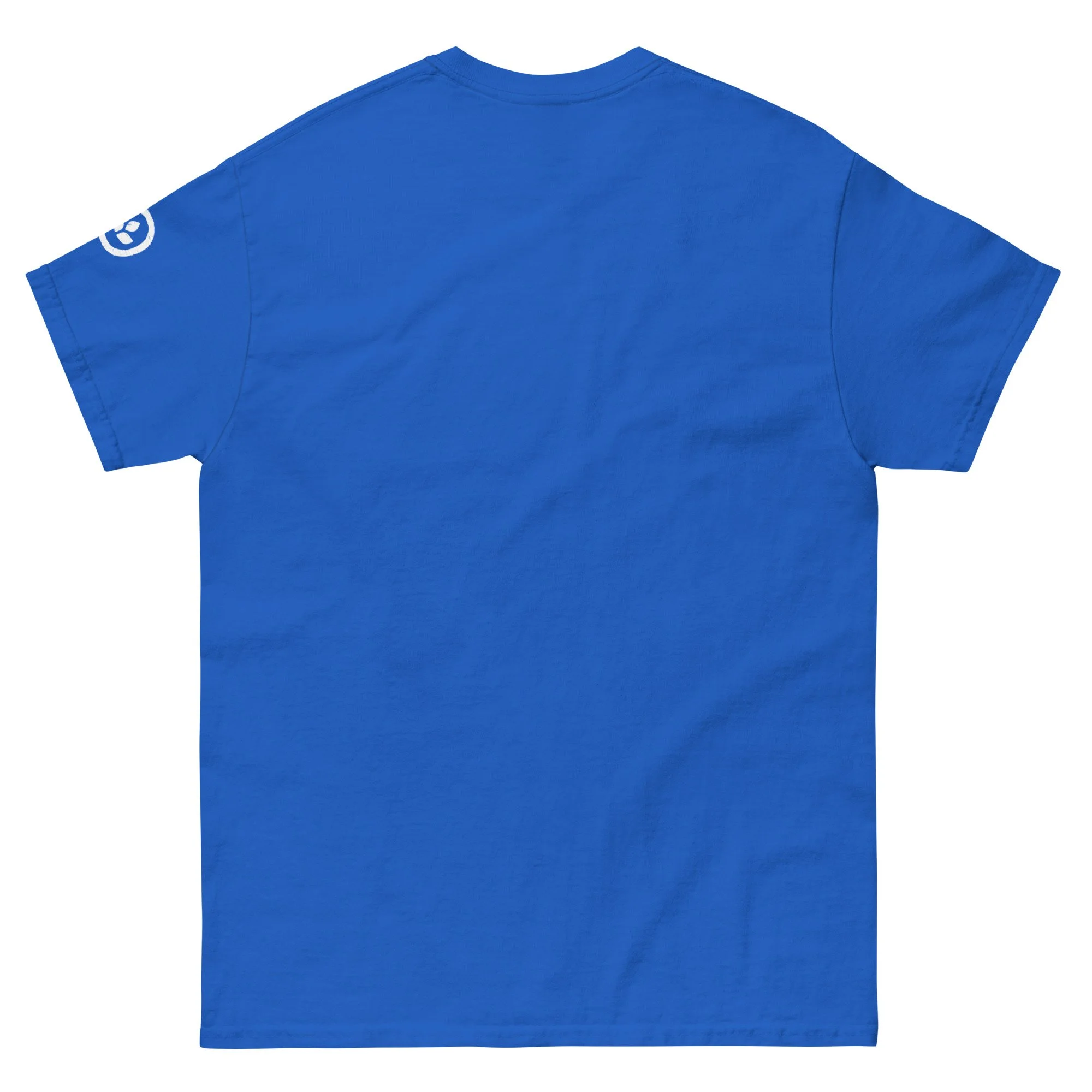 unisex-classic-tee-royal-back-66f21141c04ae.jpg