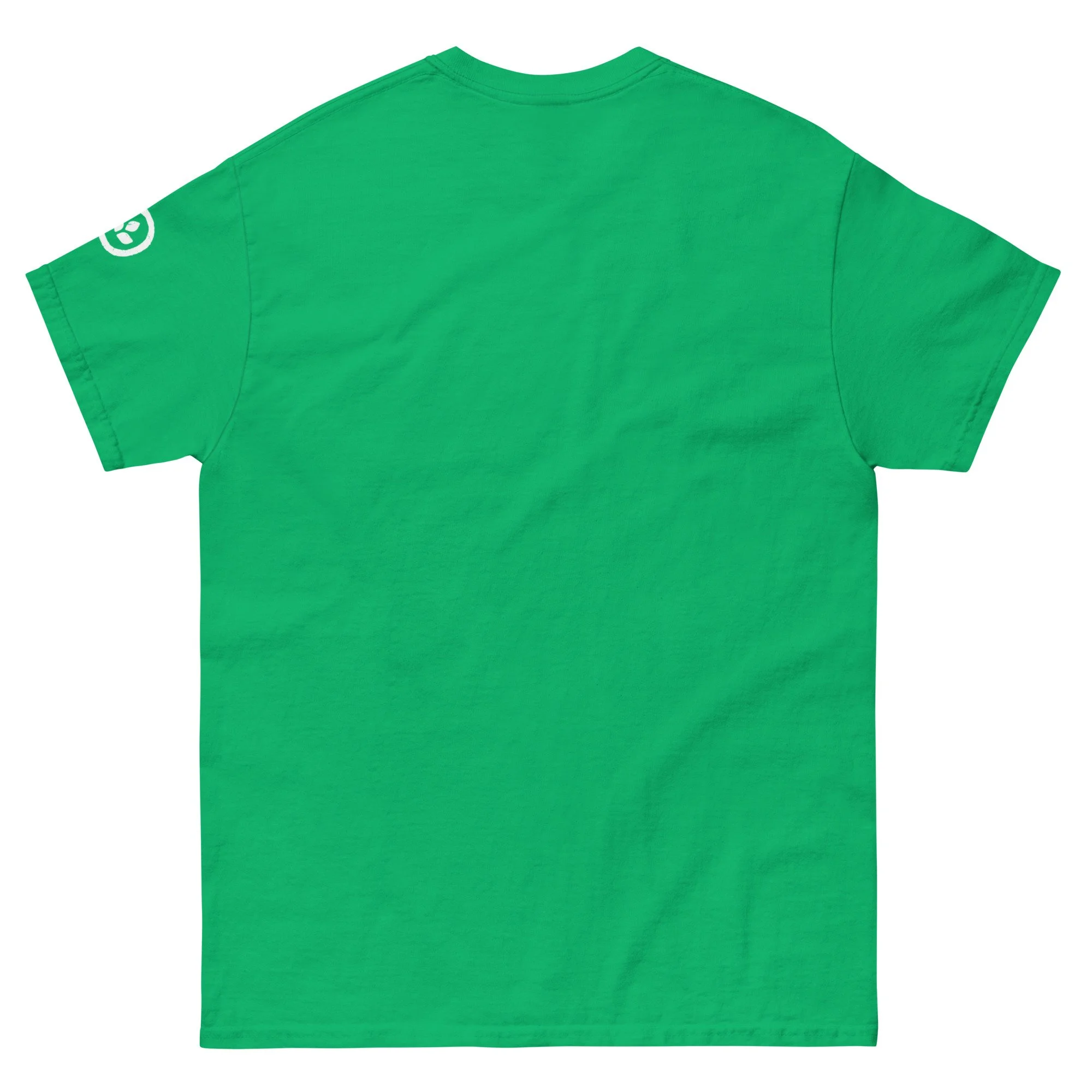 unisex-classic-tee-irish-green-back-66f211428cc66.jpg