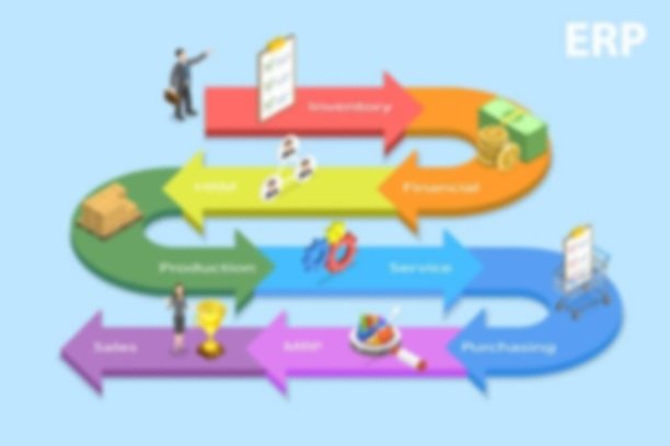 The Significance of IT Leadership in ERP/CRM Projects