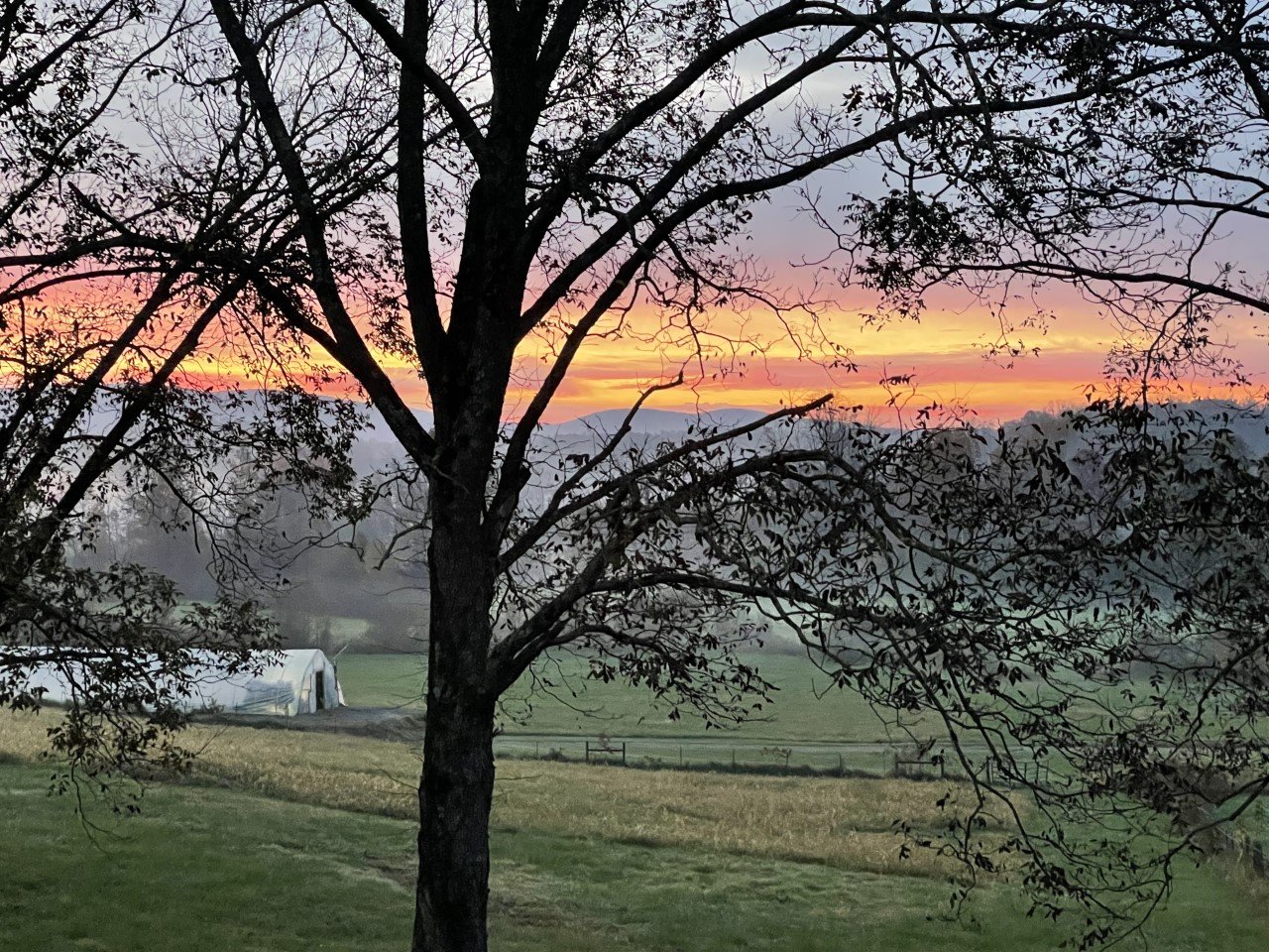 Greenhouse Sunrise.jpg