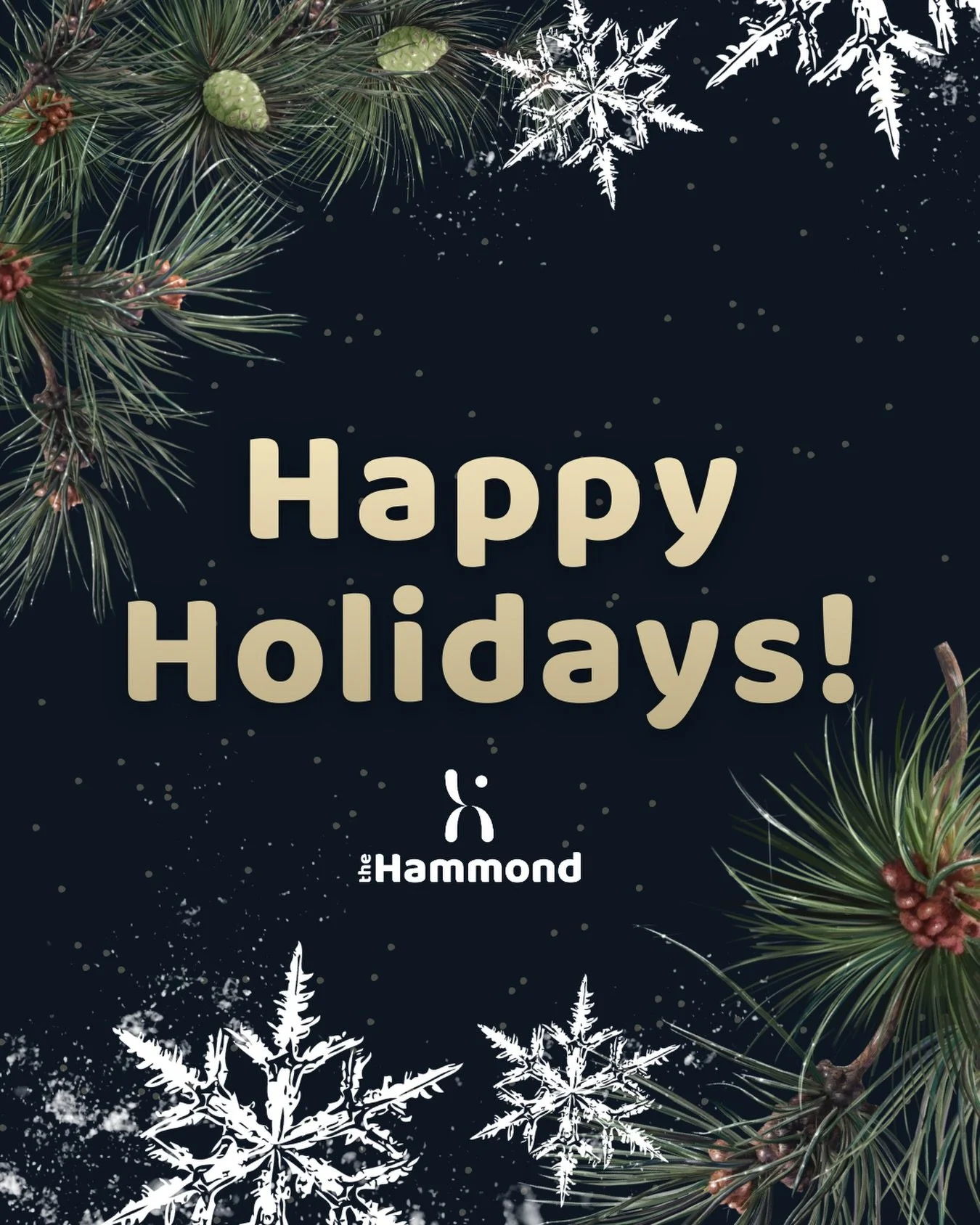 Merry Christmas and Happy Holidays! 🎄✨

At the end of a busy and rewarding term, we want to thank our entire Hammond community for their constant commitment to making The Hammond such an incredible place to learn, work and train. ⁠
⁠
We hope you hav