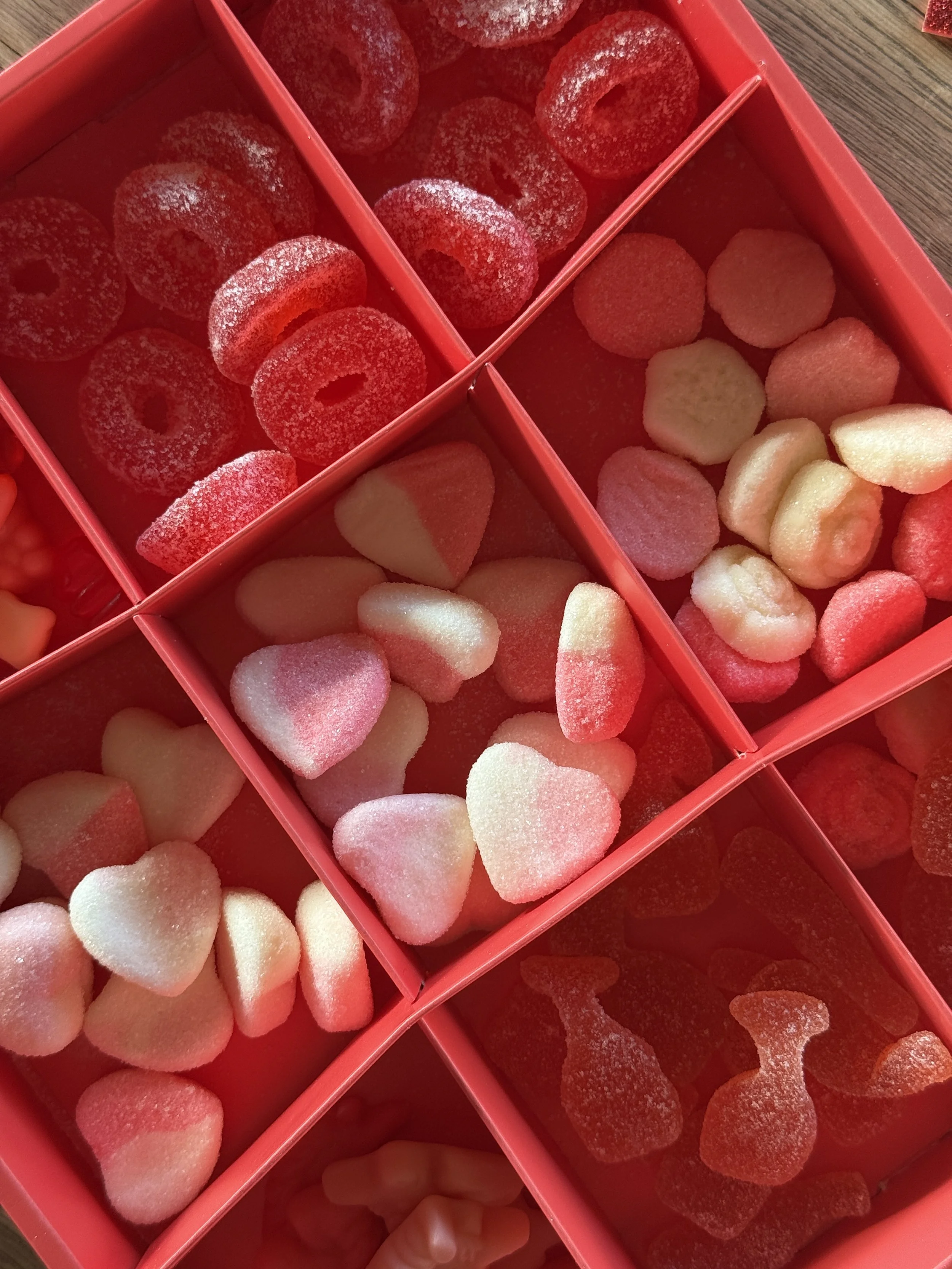 Photo Feb 14 2026, 9 27 24 AM.jpg