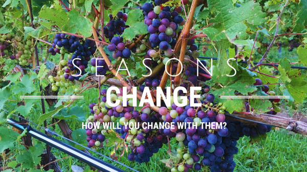 Seasons Change. How will you change with them?