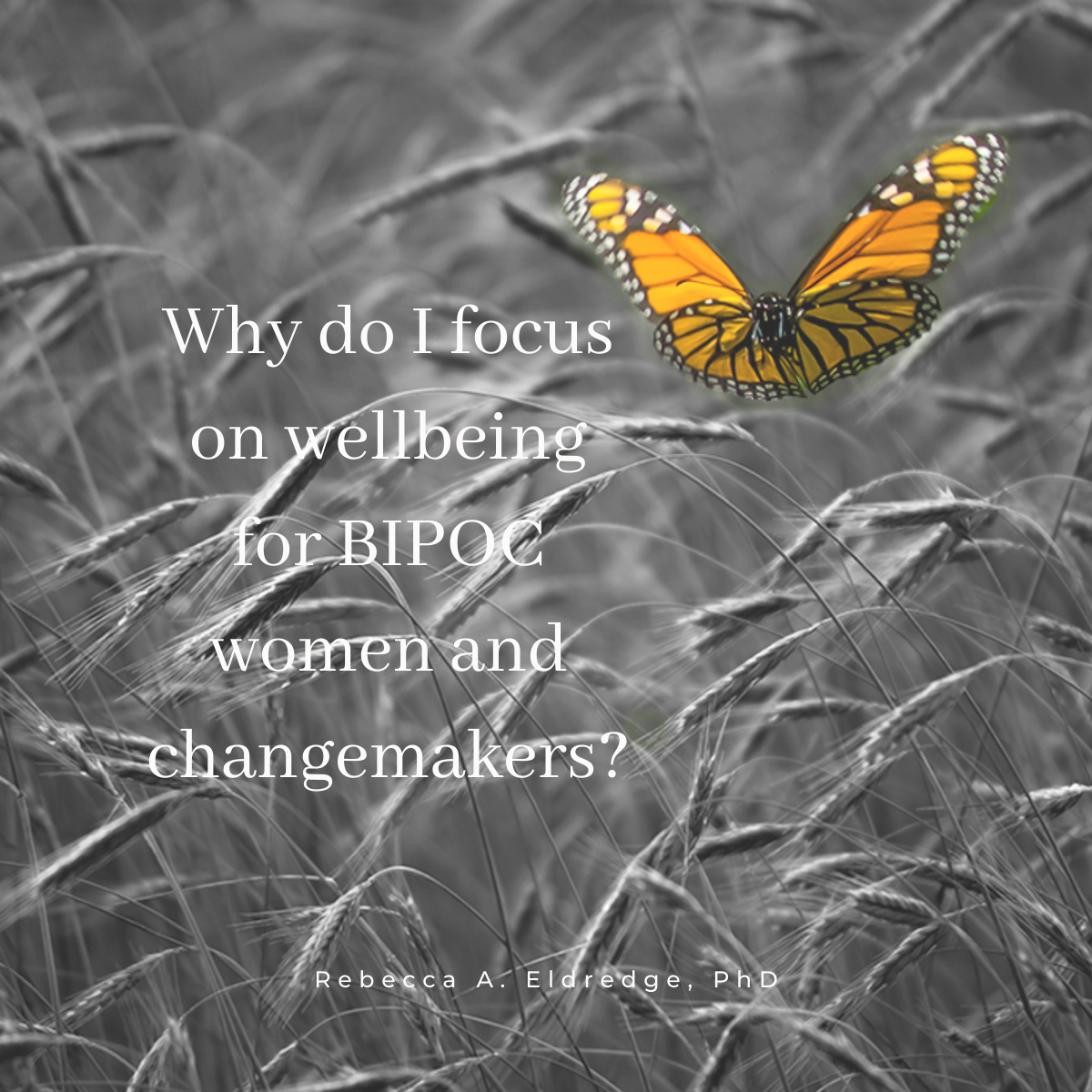 Why do I do this work?