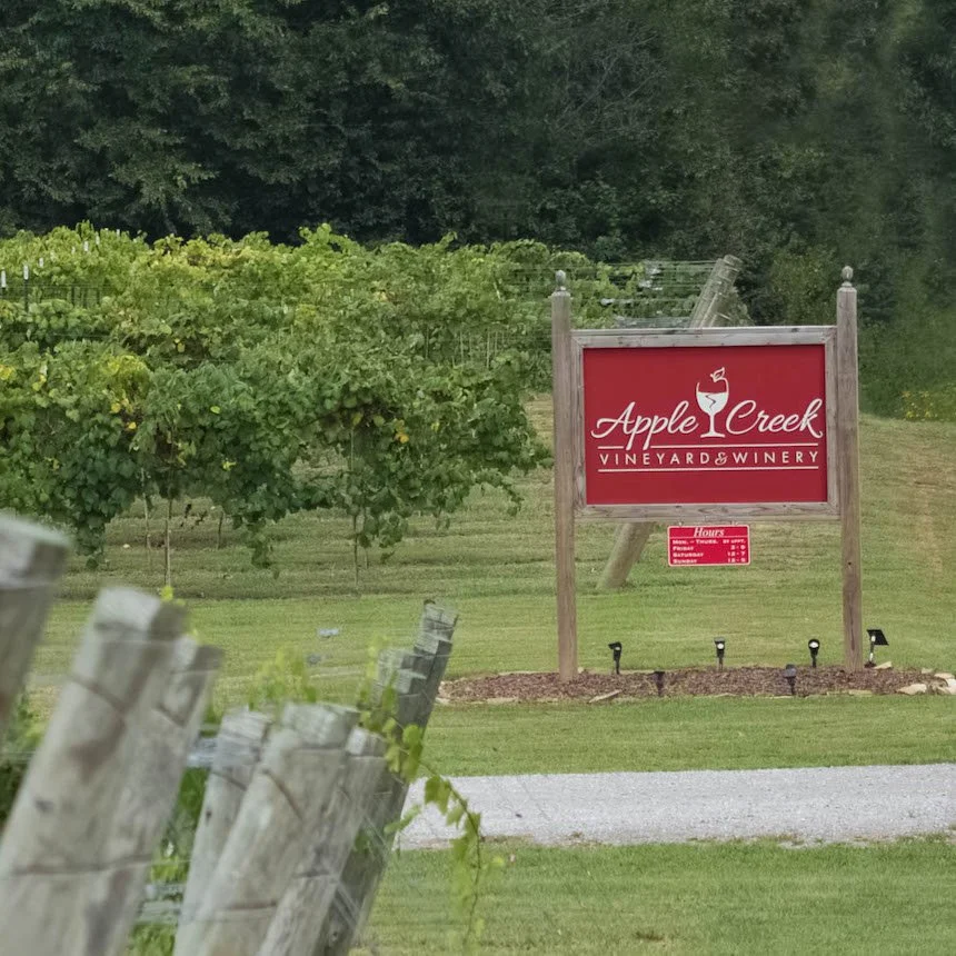 64049d5b2fe67508343a3da9_Vineyard 038-Edit.jpeg