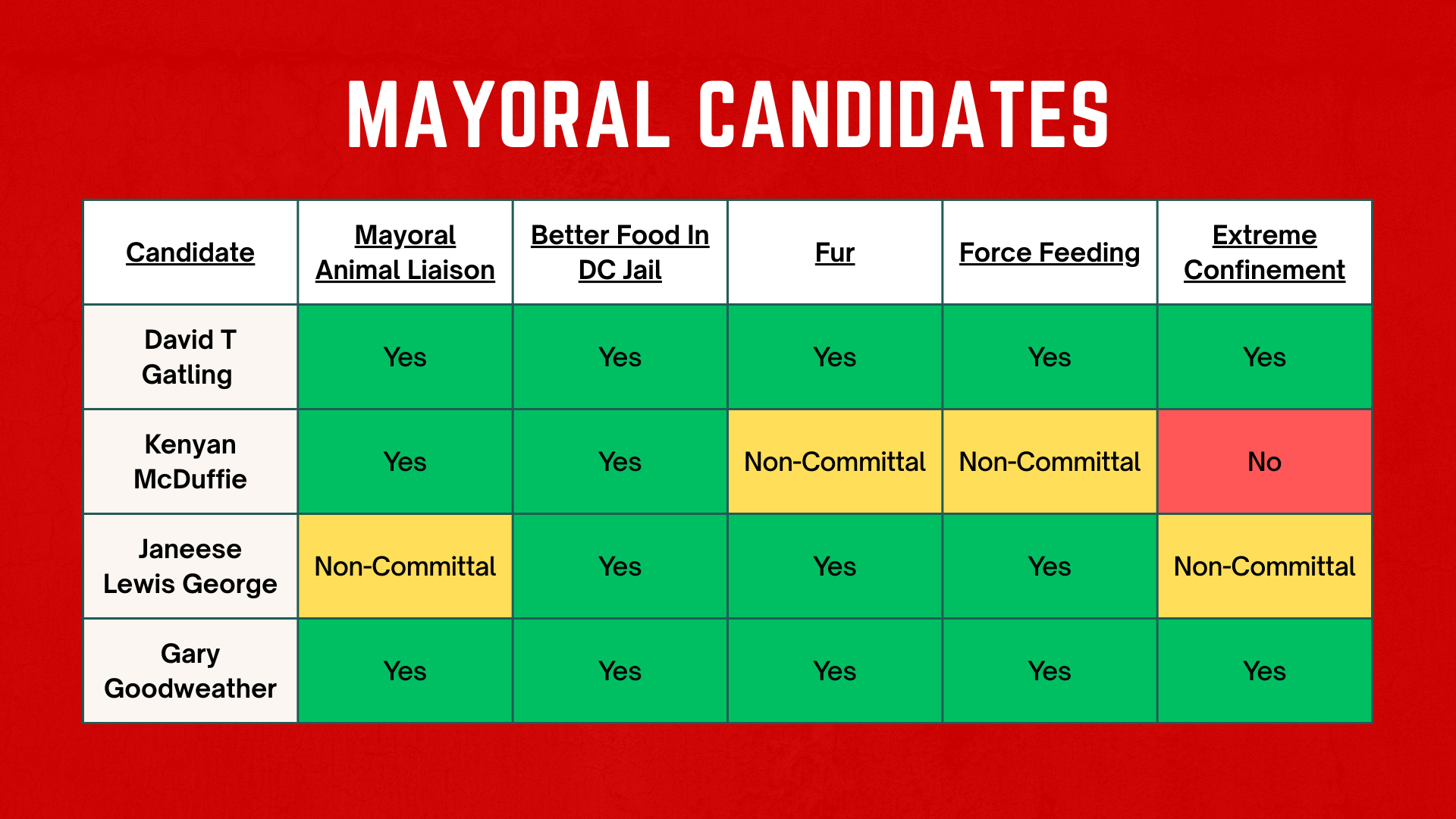 DC Elections: Candidates Share Views on Animals