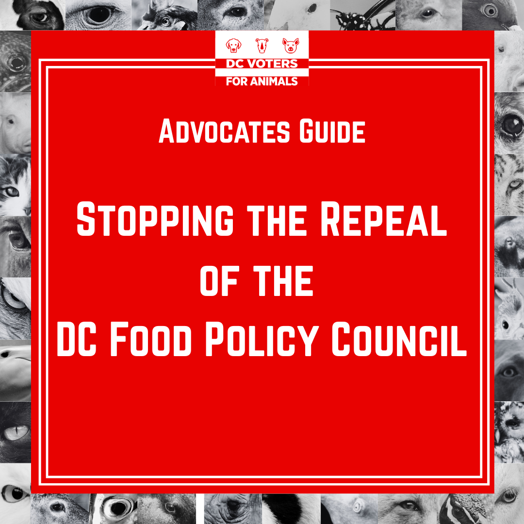 Mayor Bowser Proposes Eliminating DC Food Policy Council