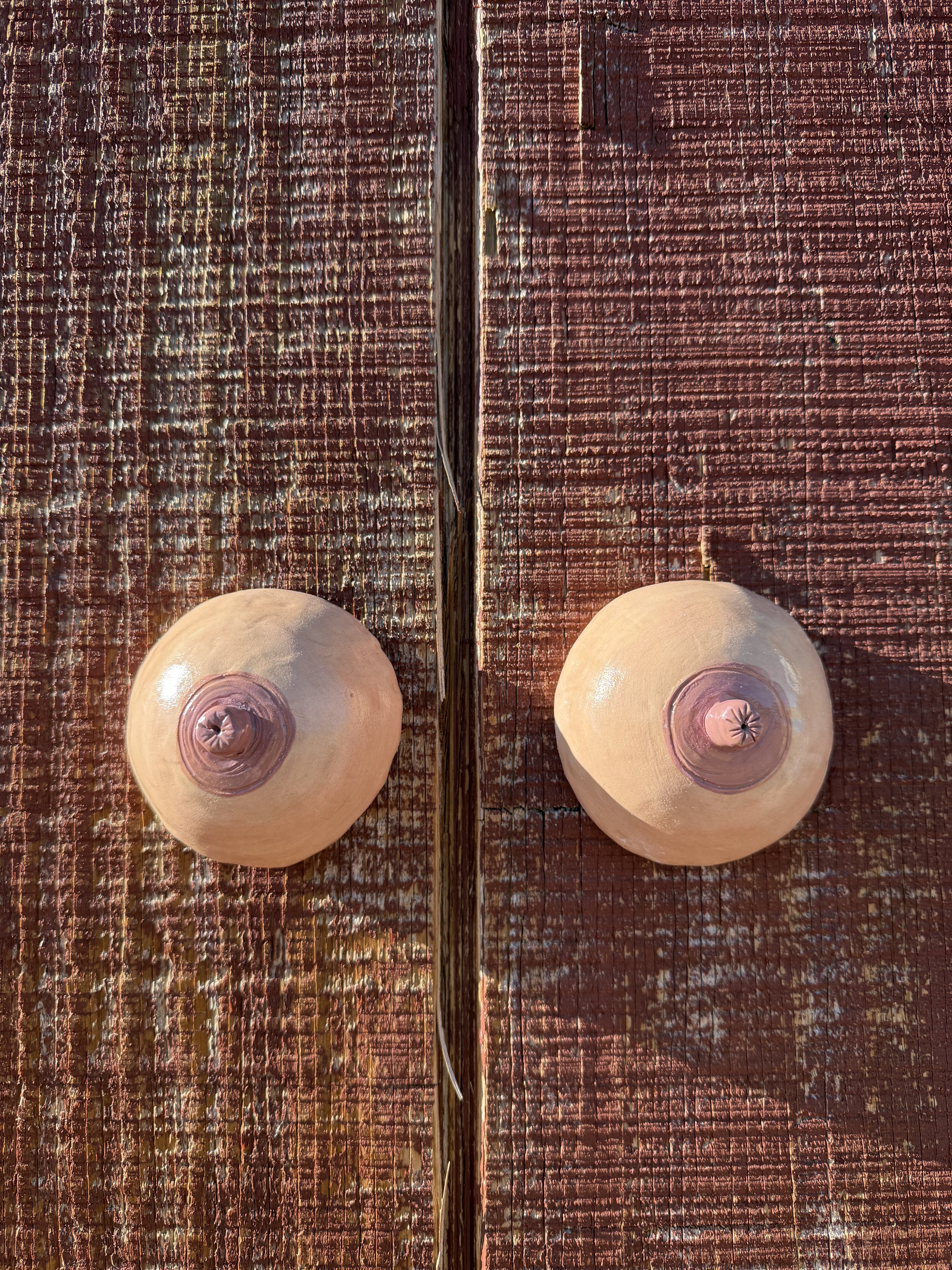 IMG_6314.jpeg (Copy) (Copy)