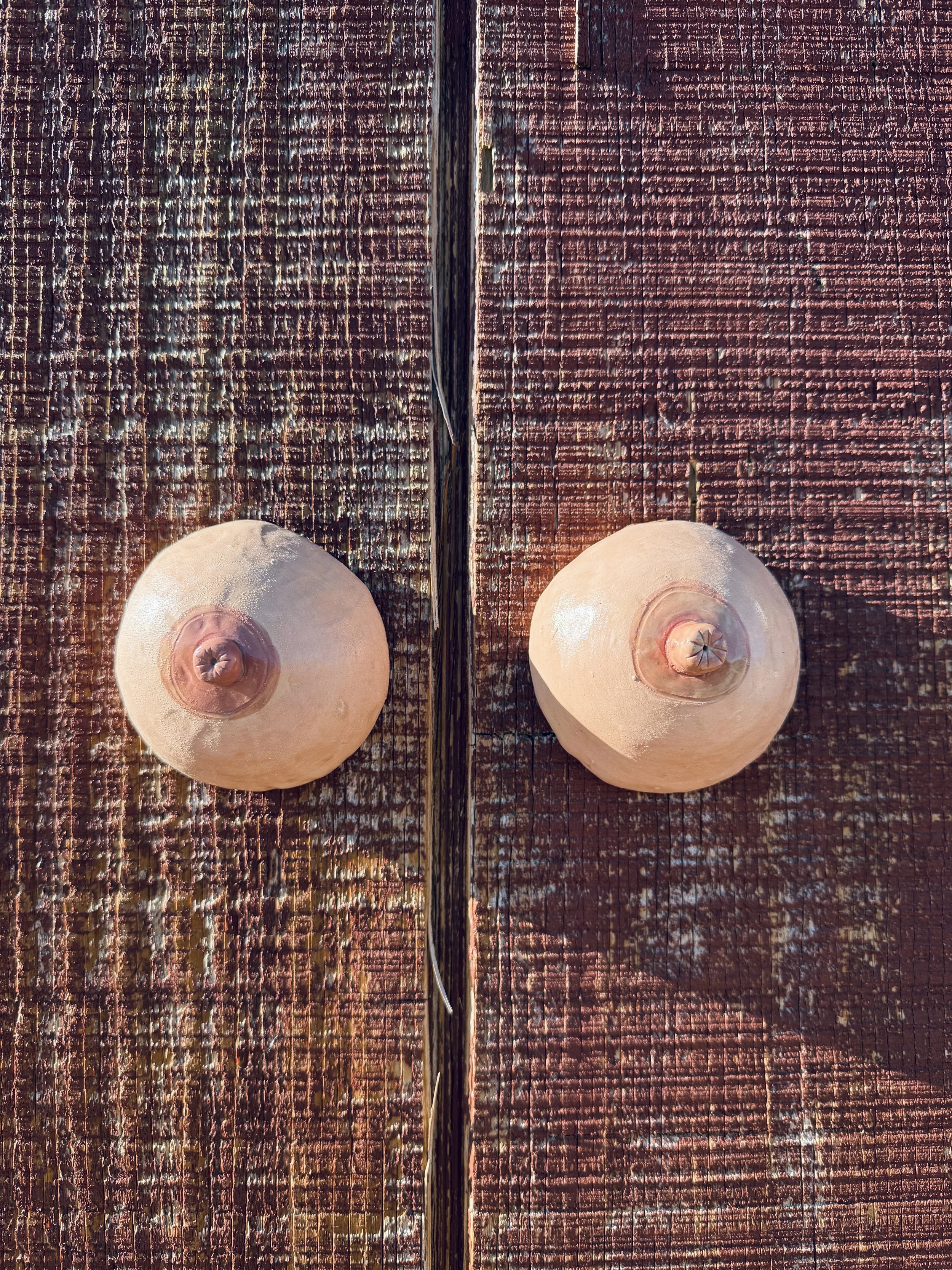 Boobies (pink -medium)