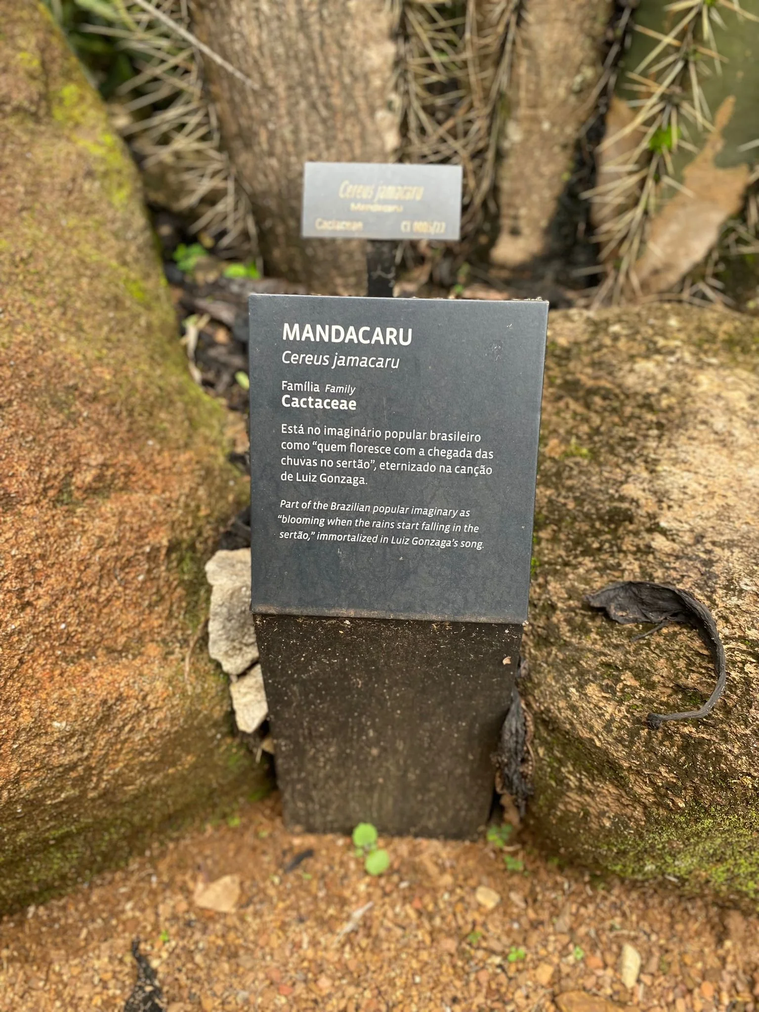 Inhotim Minas Gerais Brazil - Ana Harris Personal Stylist and Color Analysis - 42.jpeg