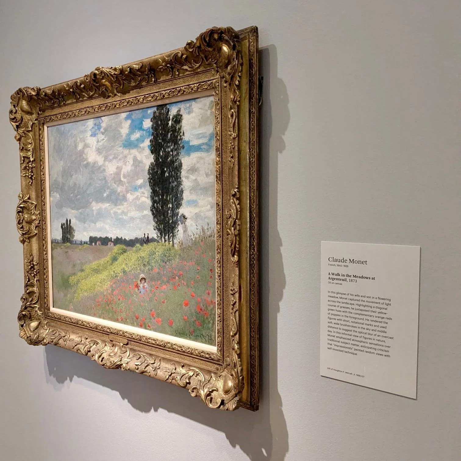 WhatsApp Image 2024-08-21 at 5.29.50 PM.jpeg