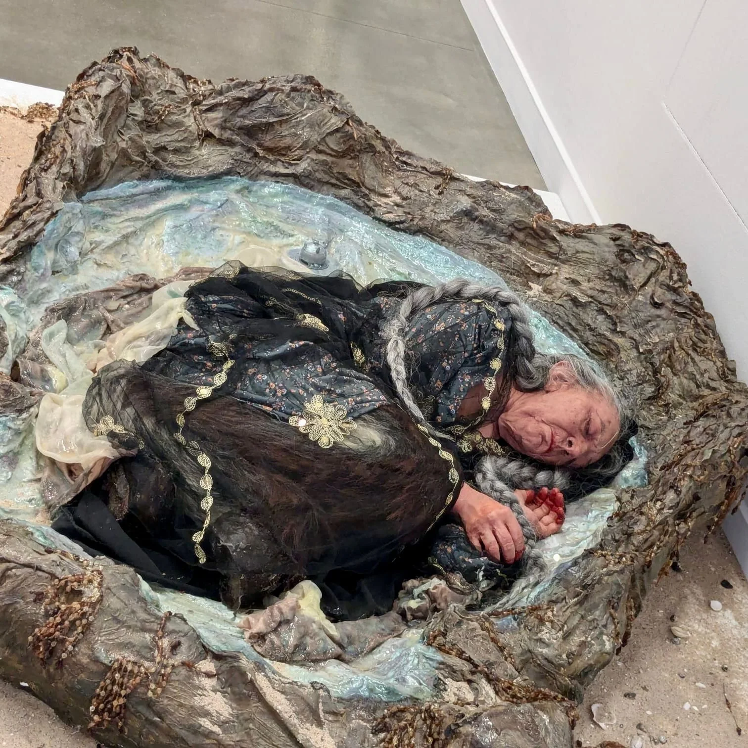 WhatsApp Image 2024-08-21 at 5.36.12 PM.jpeg