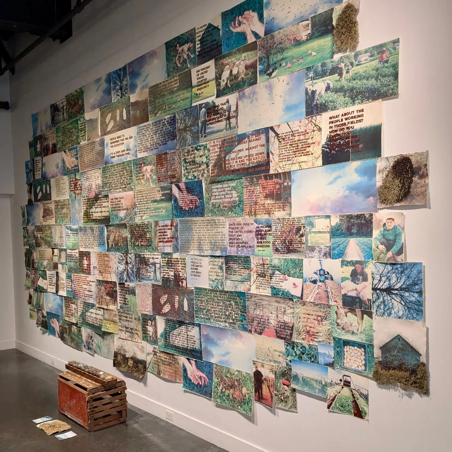 WhatsApp Image 2024-08-21 at 5.36.15 PM.jpeg