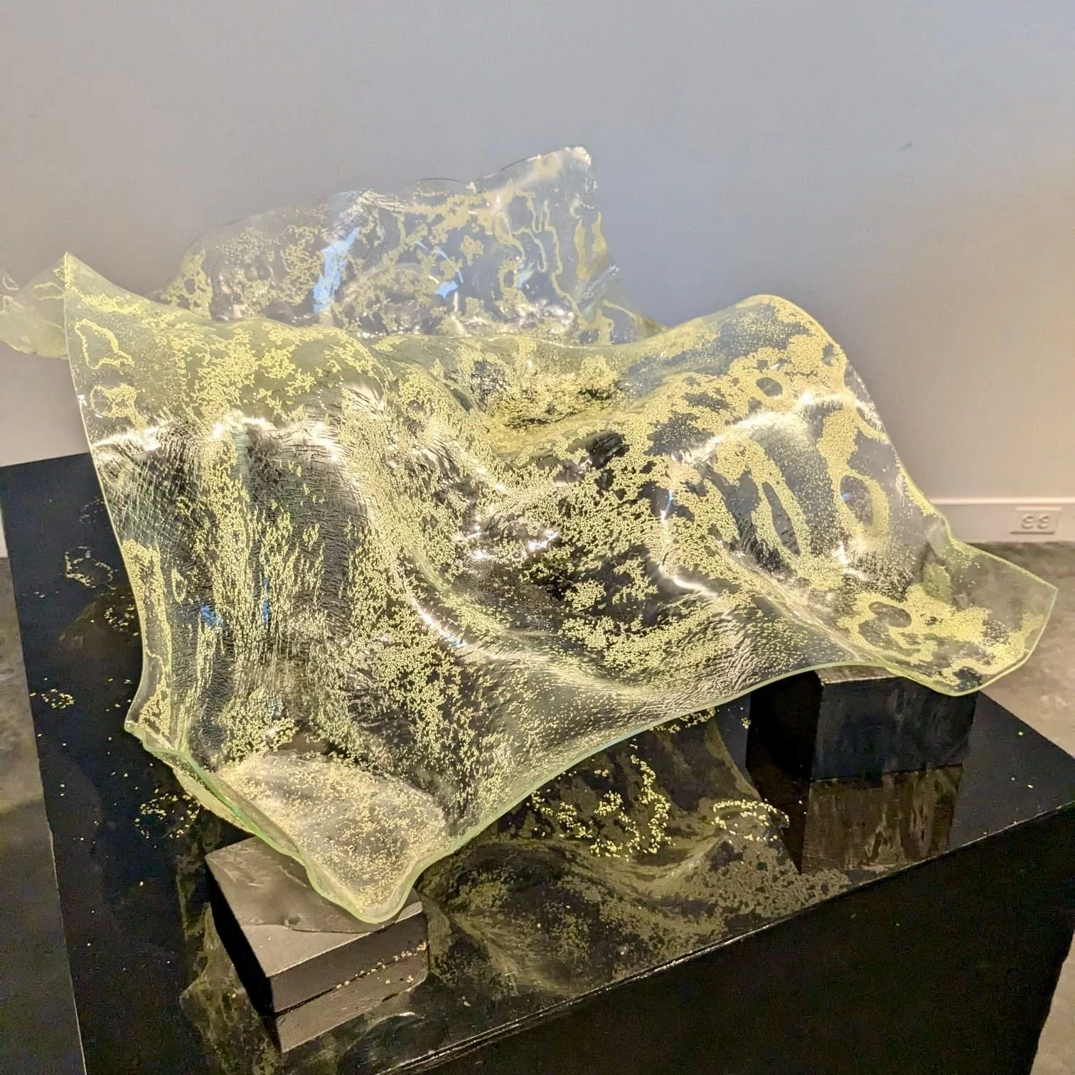 WhatsApp Image 2024-08-21 at 5.36.18 PM.jpeg