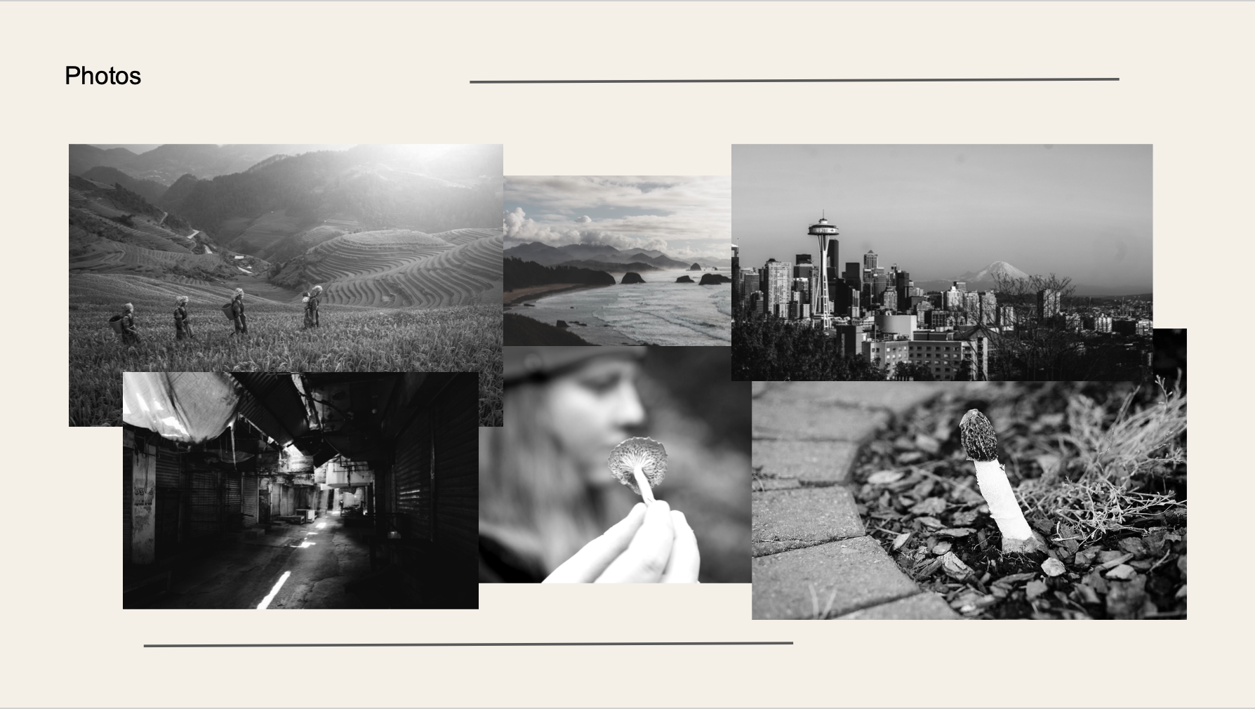 photography inspo.png