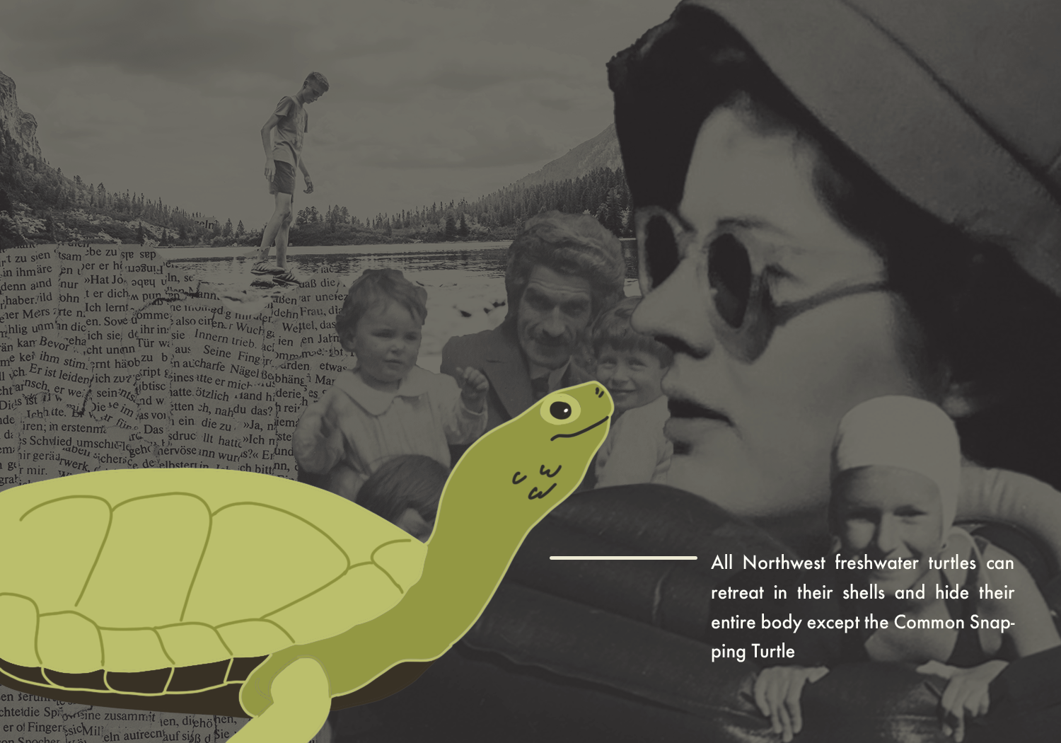 turtle.png