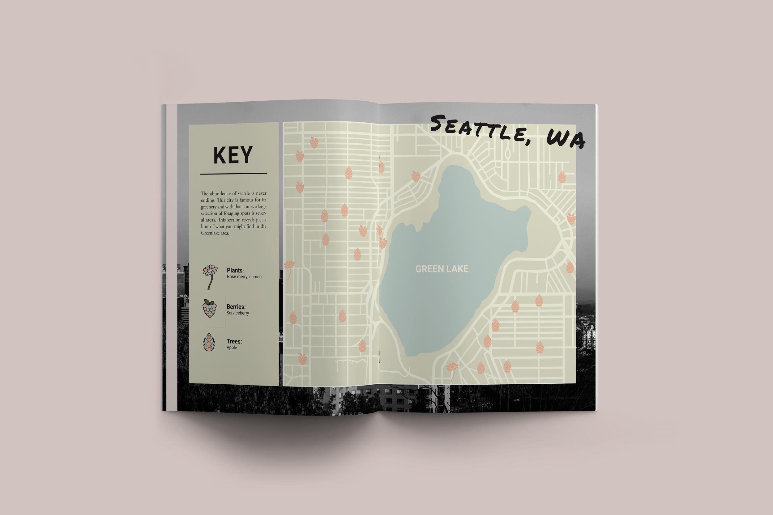 mockup3.png
