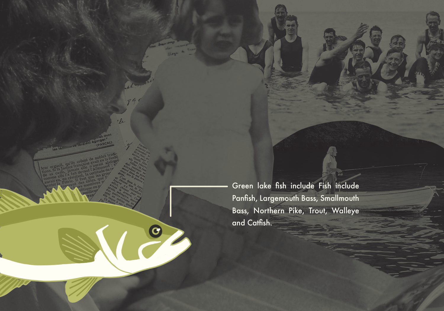 fish.png