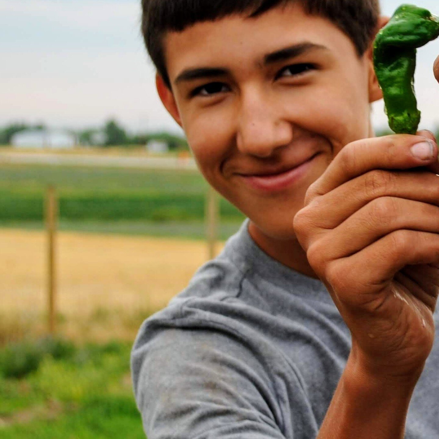 Our Next Gen Summer Internship Program application deadline is April 14th. 🍅🌽🥕

The purpose of this internship is to provide youth on Rosebud an opportunity to experience an introduction to local food production and regenerative agriculture.

Appl