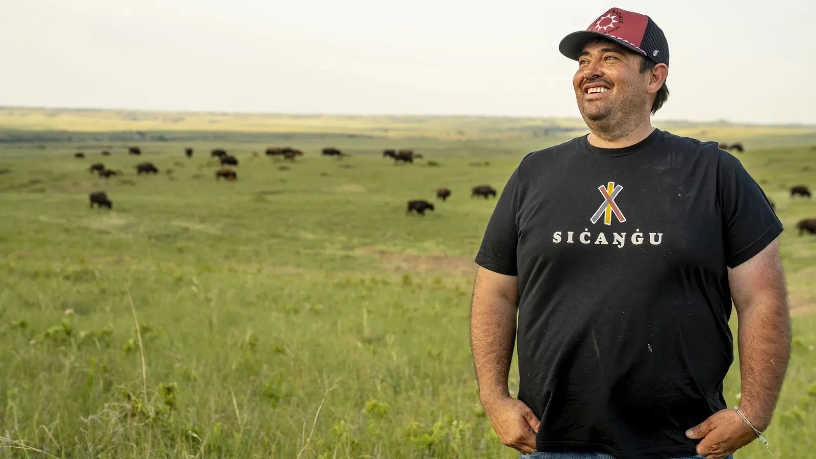 How our buffalo are facilitating healing