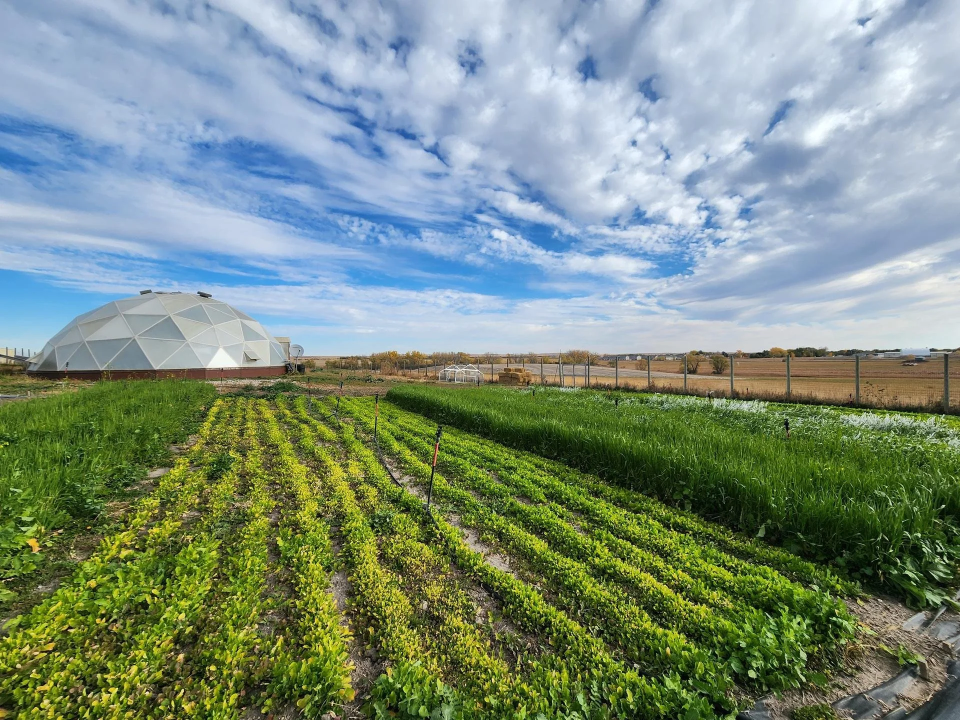 Gardens and Farmers’ Markets, Oh My!