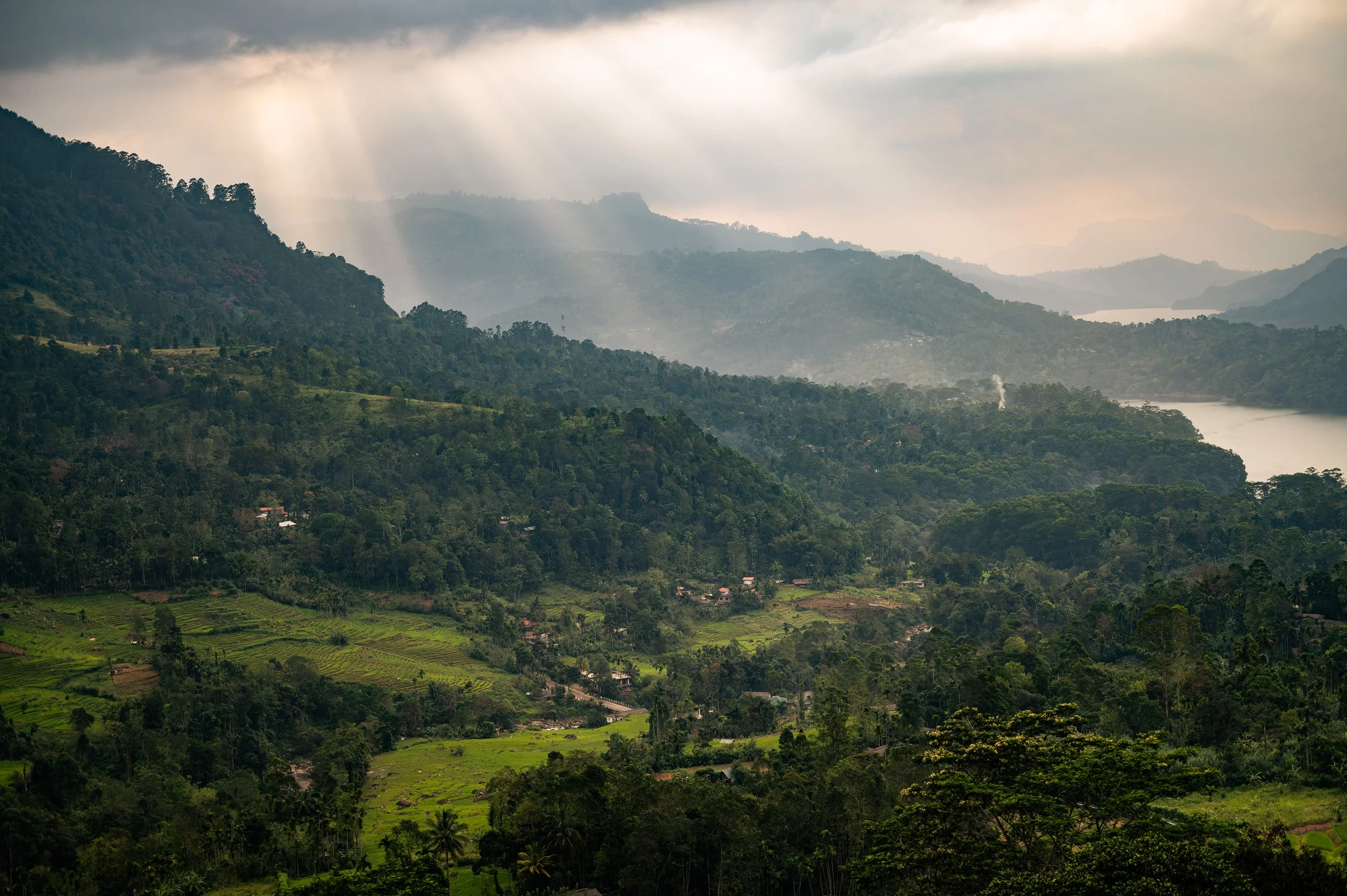 _SCG6303-Enhanced-NR 2.JPG