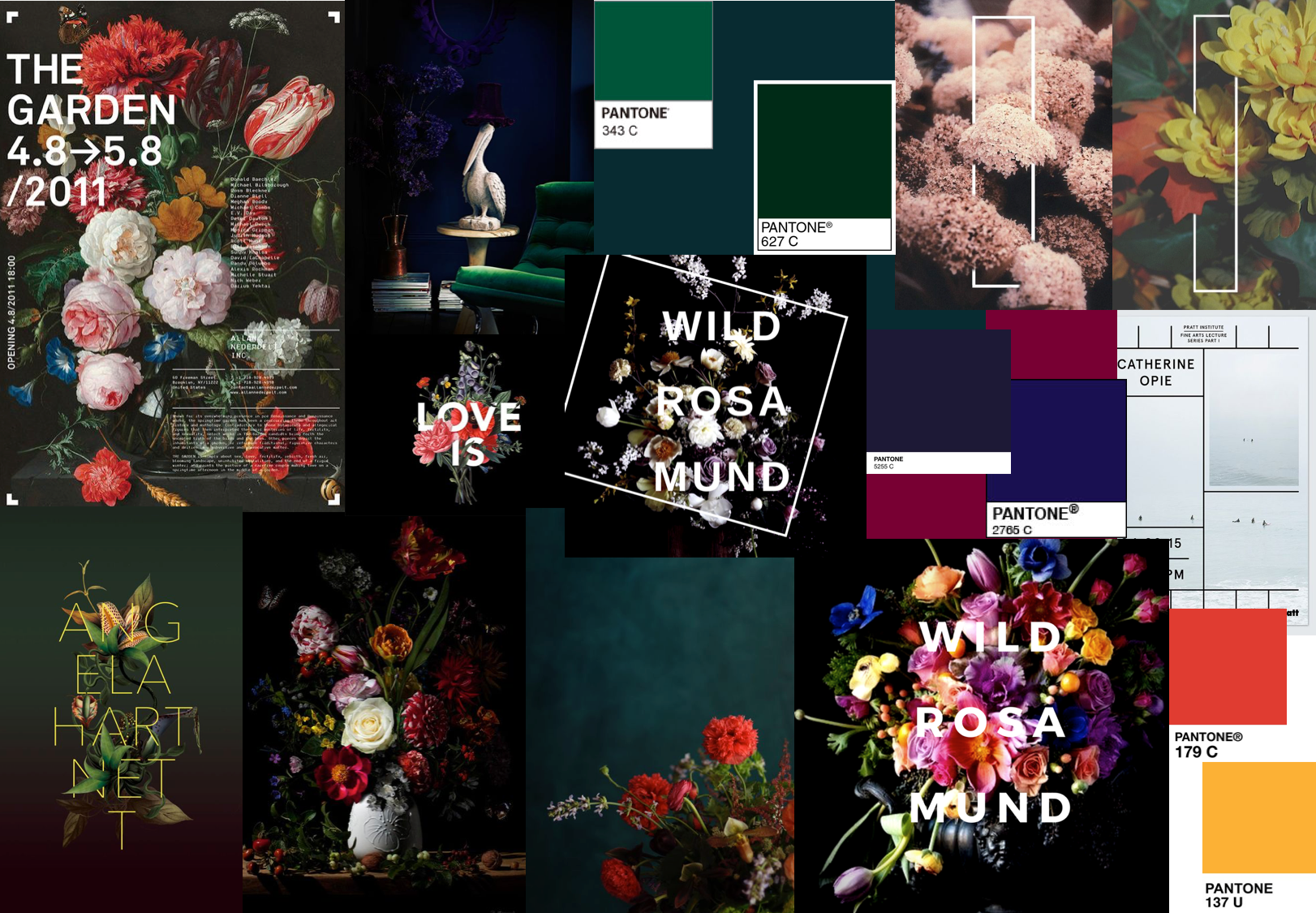 Wild Rosamund florist branding moodboard.png