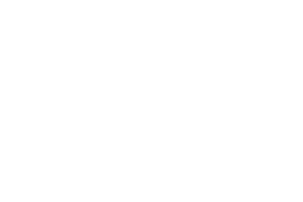 The-Ned.webp