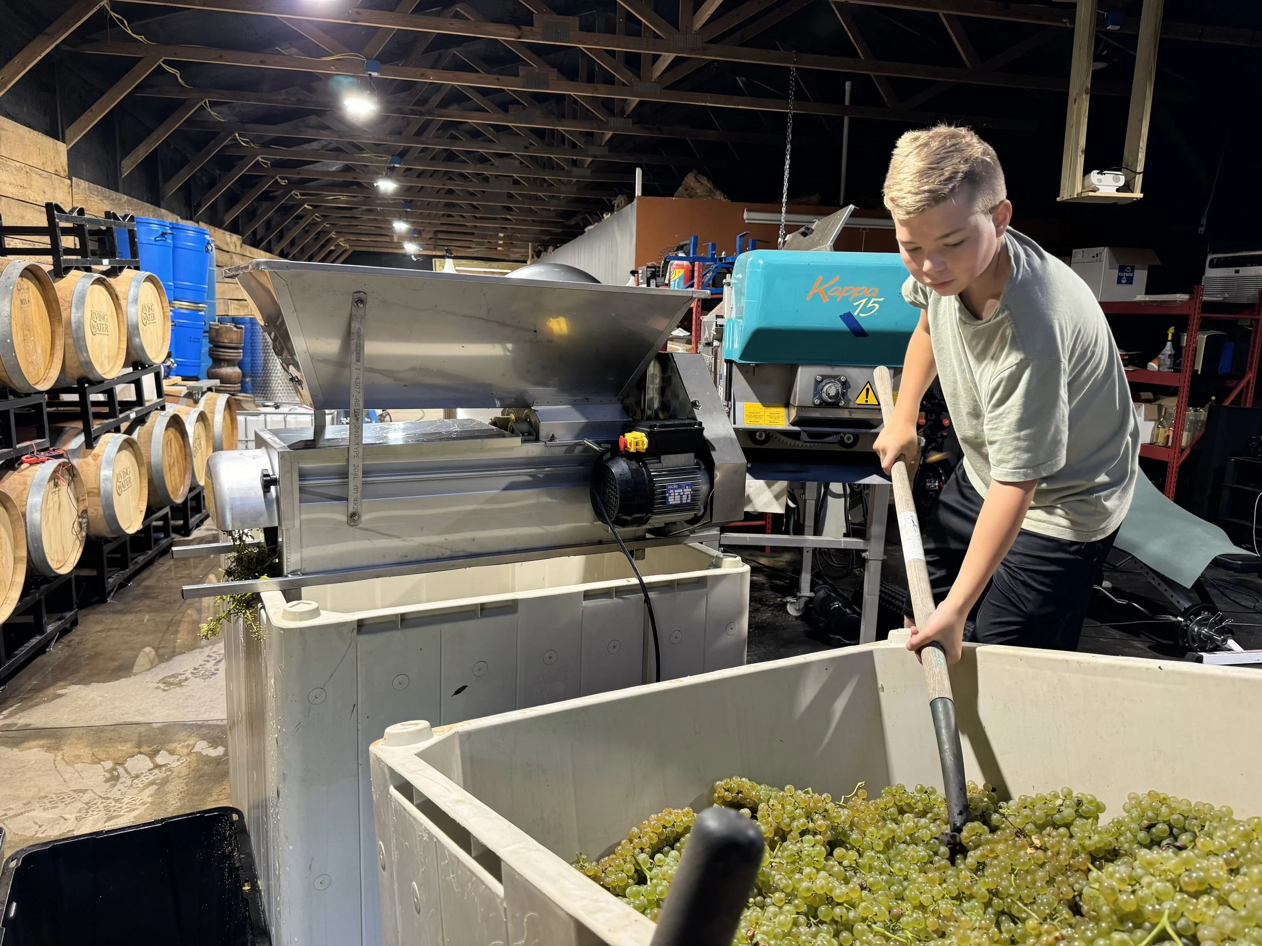Crushing it | North Georgia Winery | Blairsville