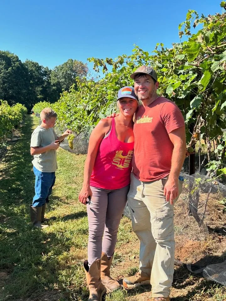 Harvest | North Georgia Vineyard | Blairsville