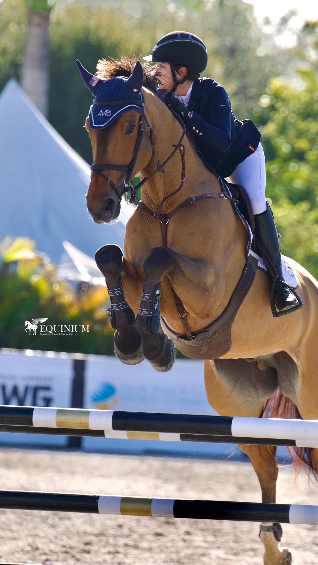 Athena Lekkas Acquires Valdes Z as New Competition Mount, Debuts with Double Clear at Winter Equestrian Festival