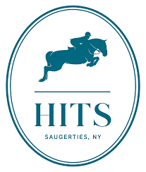 HITS Saugerties