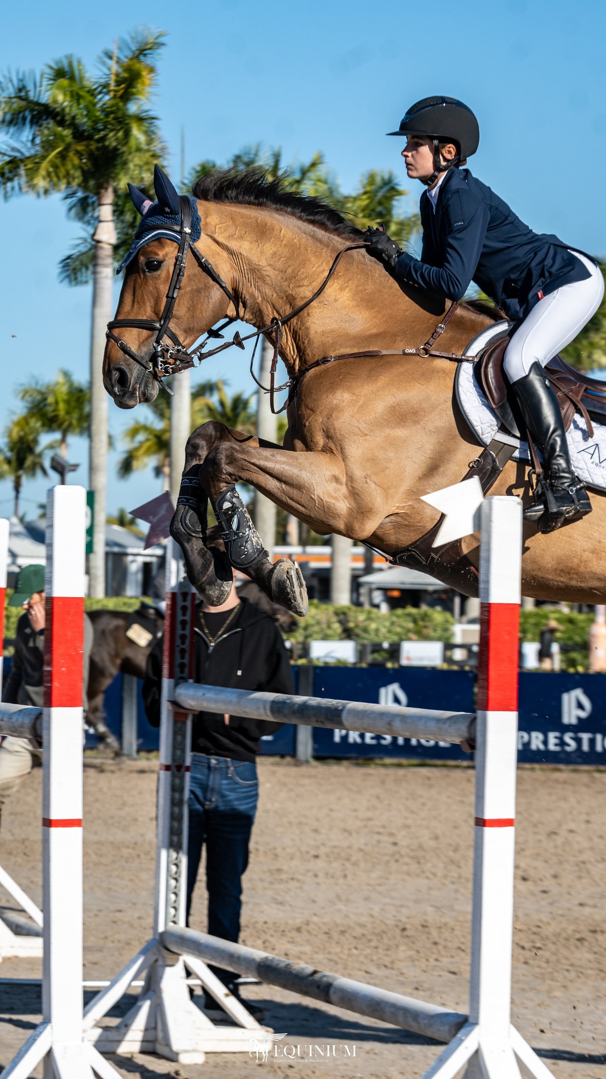 A female equestrian rider in a navy jacket, white riding pants, and black riding boots, wearing a black helmet, jumps a brown horse over a red and white show jumping obstacle with a blue sky and palm trees in the background.