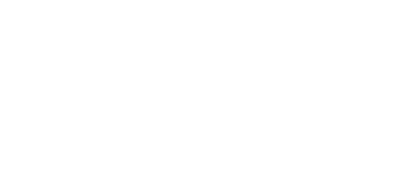 Bluebird Accounting Advisory logo