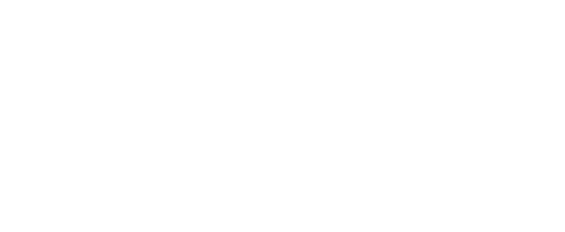 Party Shirt International apparel logo