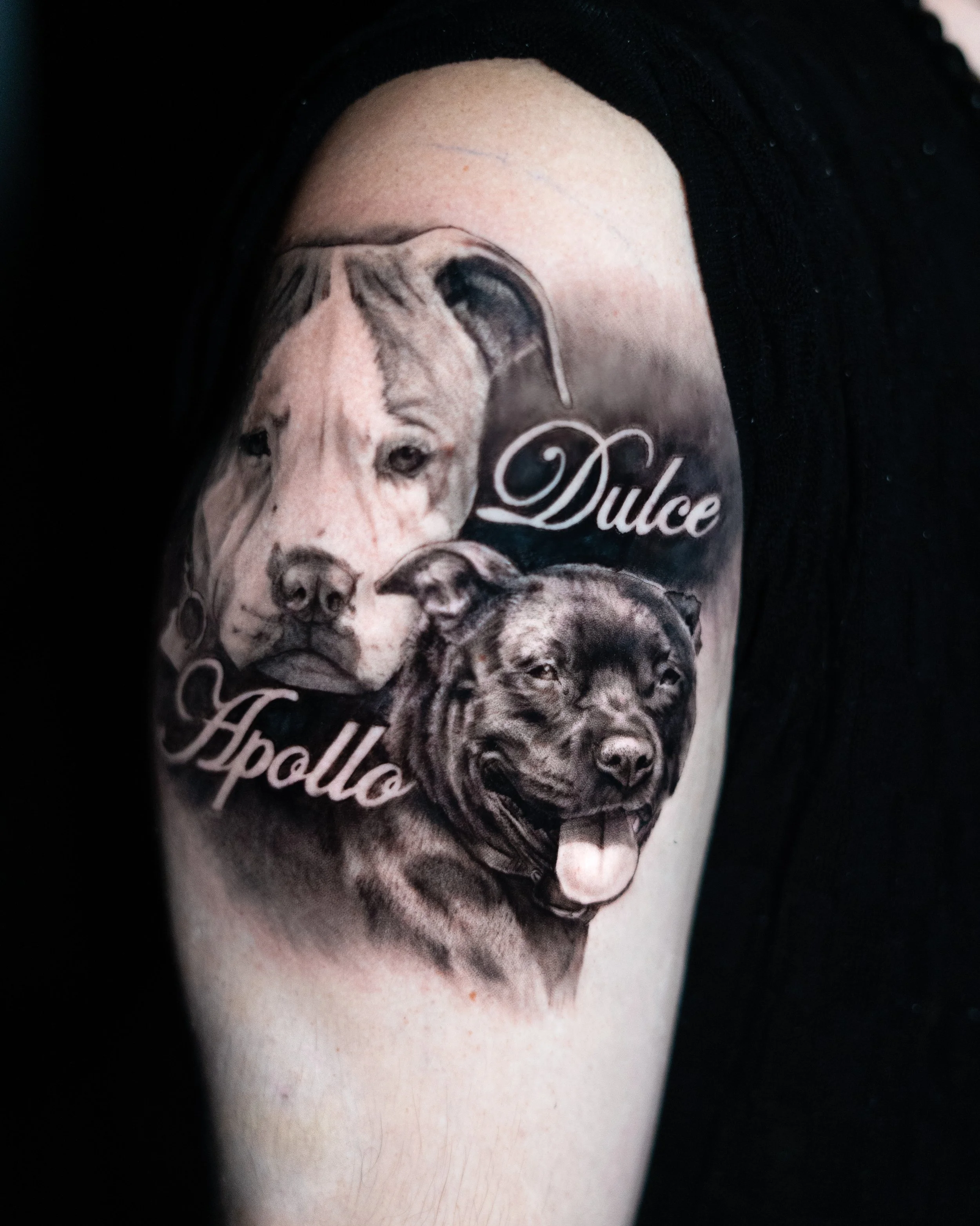 DSC03844.jpg