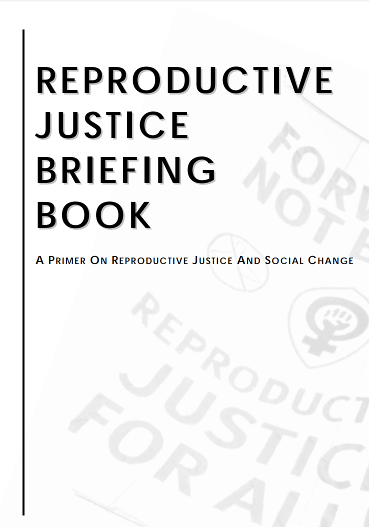 Reproductive Justice Briefing Book: A Primer on Reproductive Justice and Social Change (82 pages online - 46 separate writings)