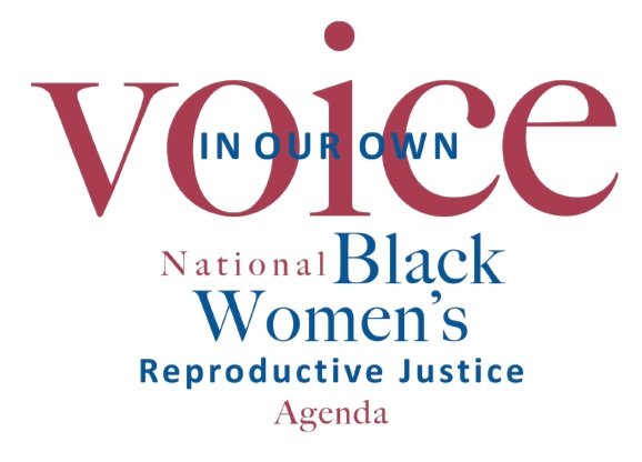 In Our Own Voice: National Black Women's Reproductive Justice Agenda - NATIONAL
