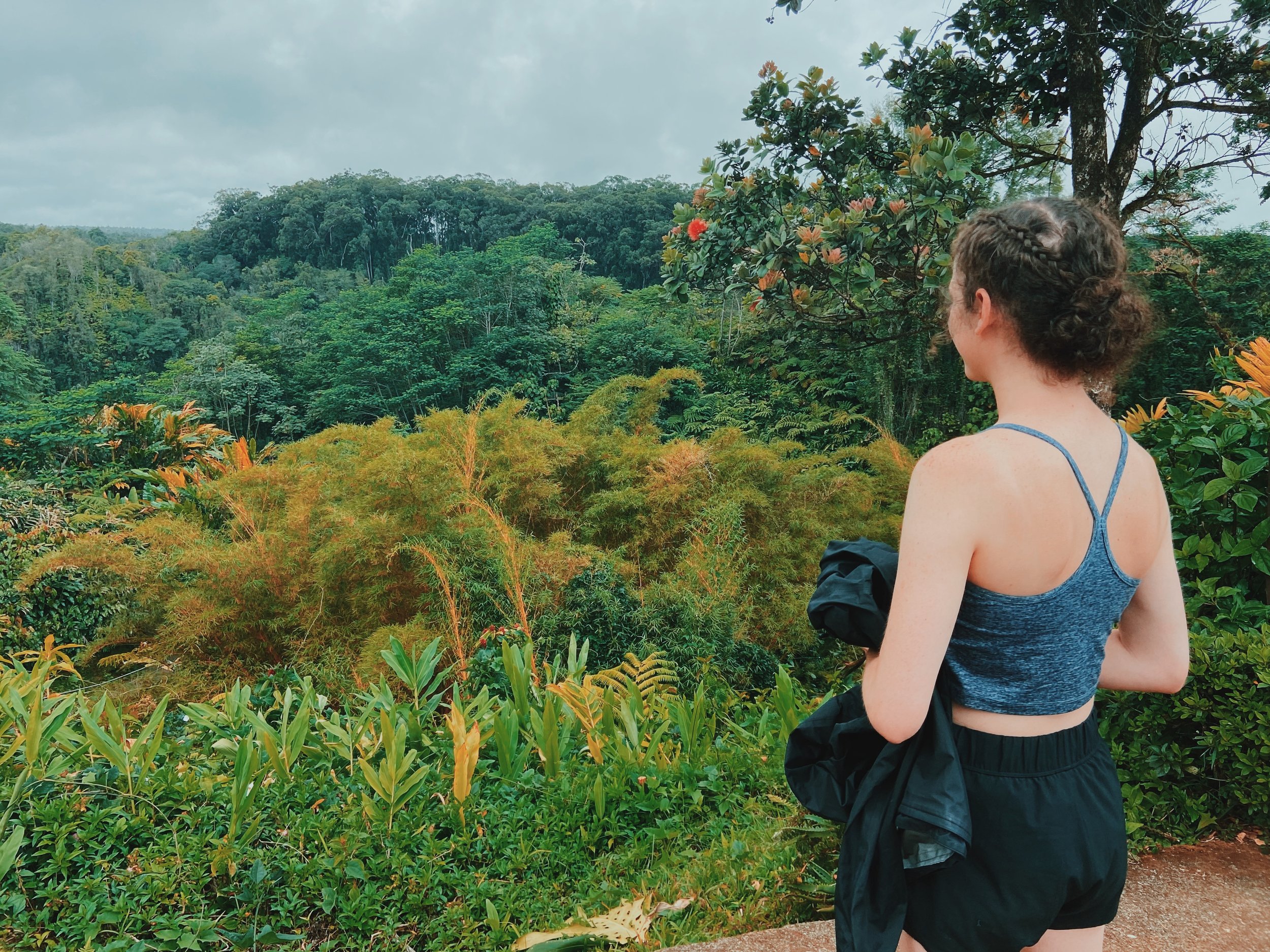 Checking out waterfalls in Hilo