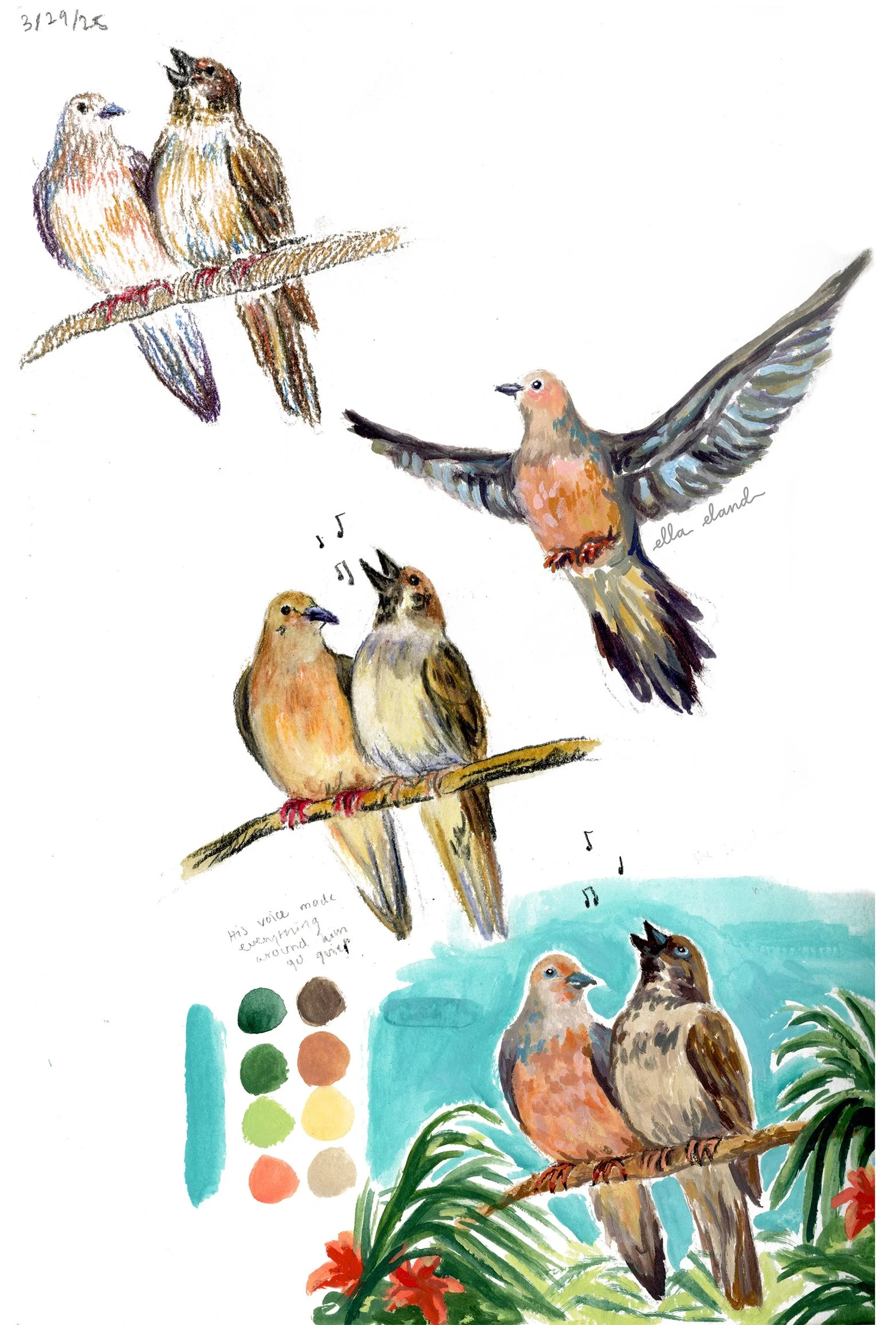 dovesparrowcolorsketch4small.jpg