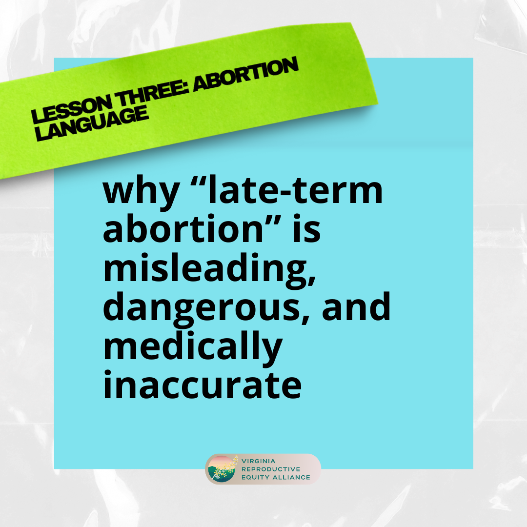 l3_ abortion terminology pg 2.png