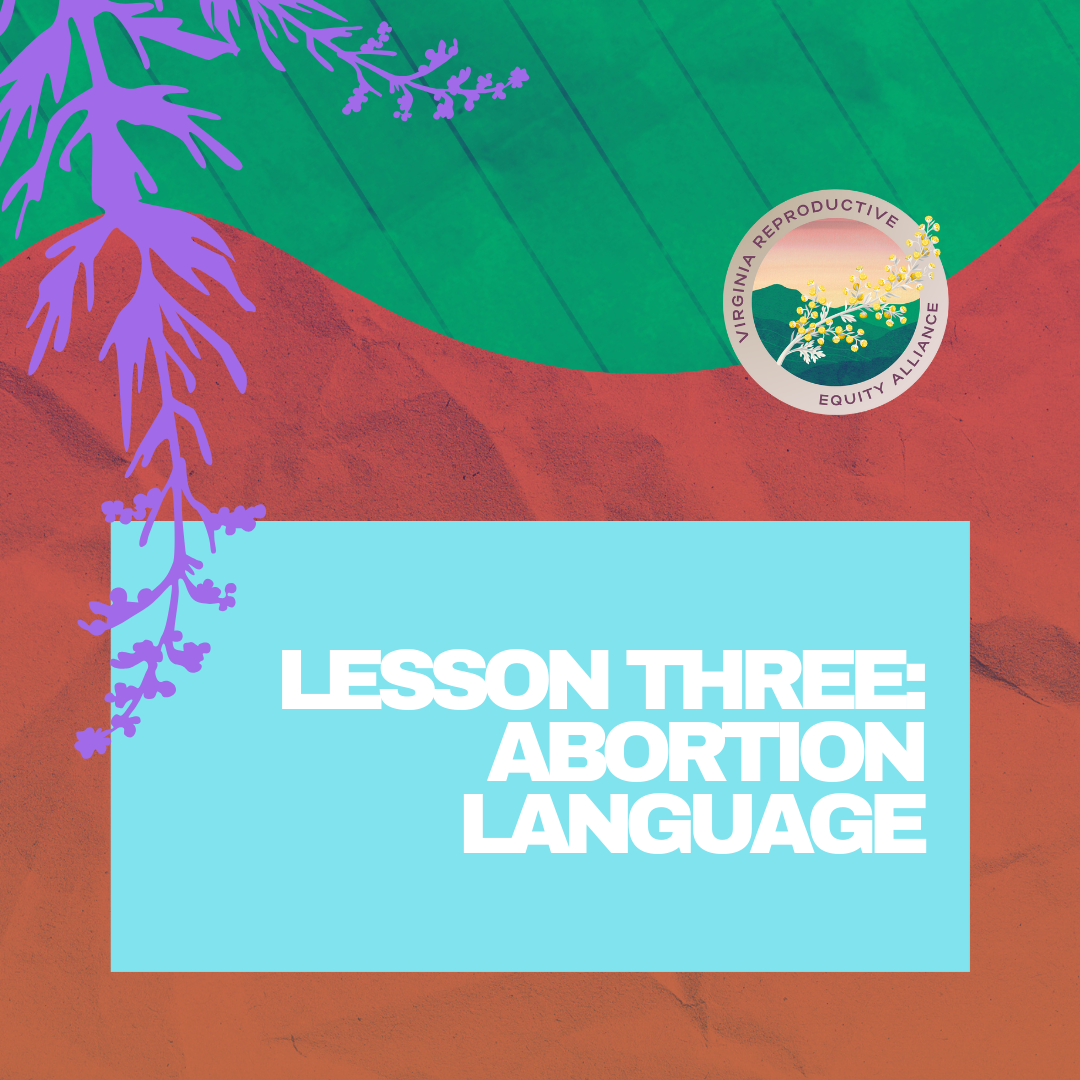 lesson 3_ abortion terminology cover page.png